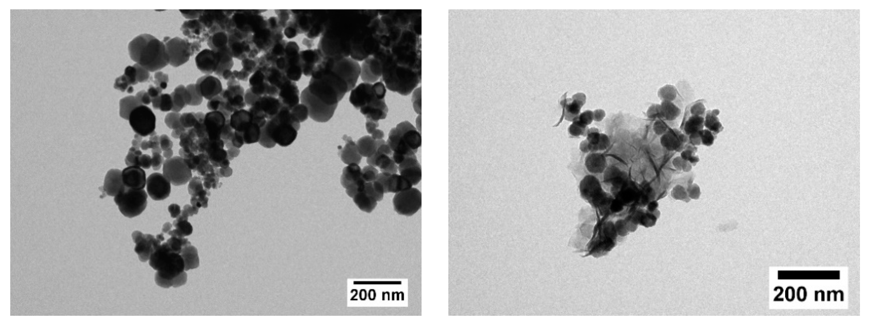 Nanomaterials 12 00343 g003
