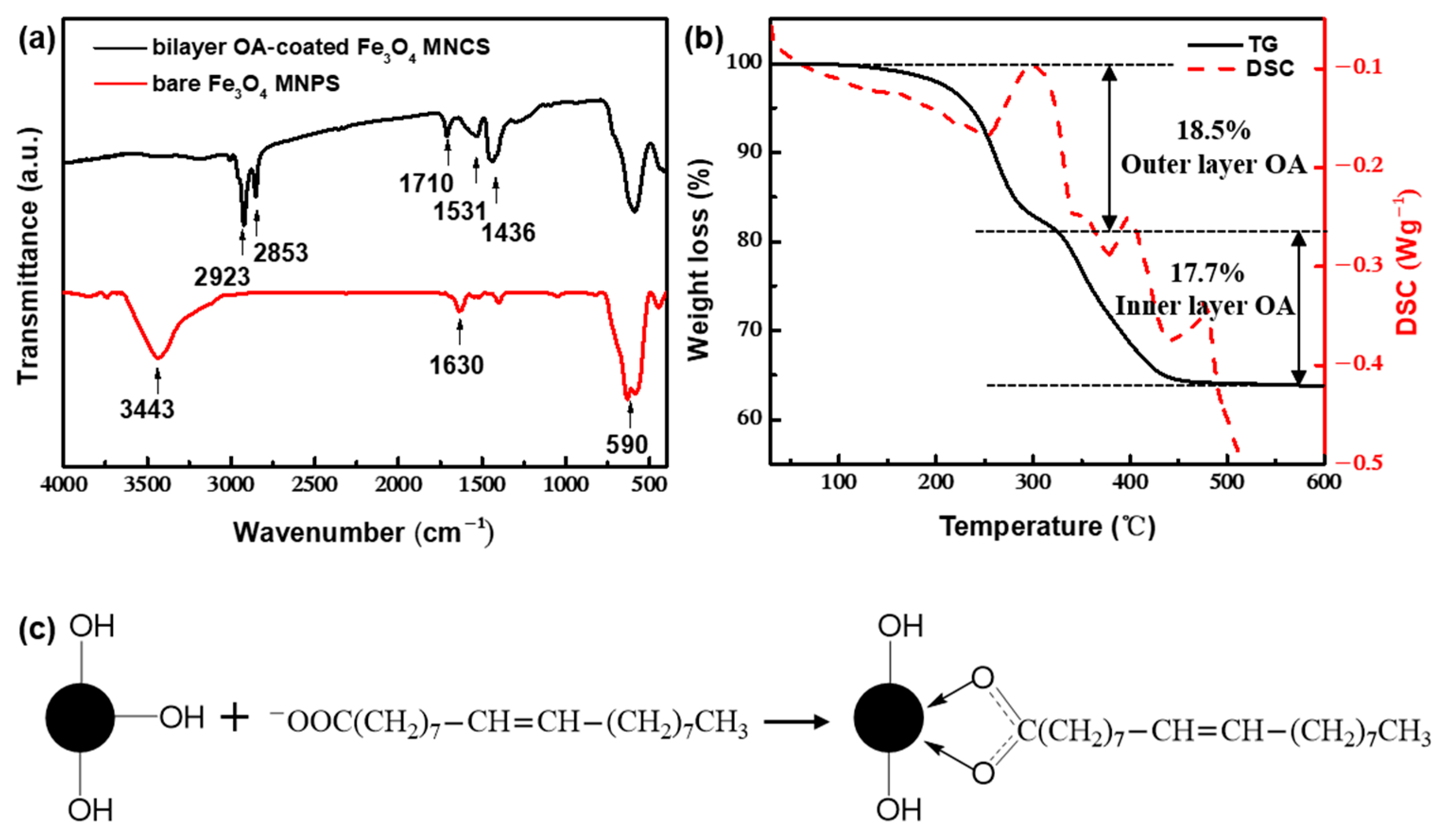 Nanomaterials 12 00350 g004