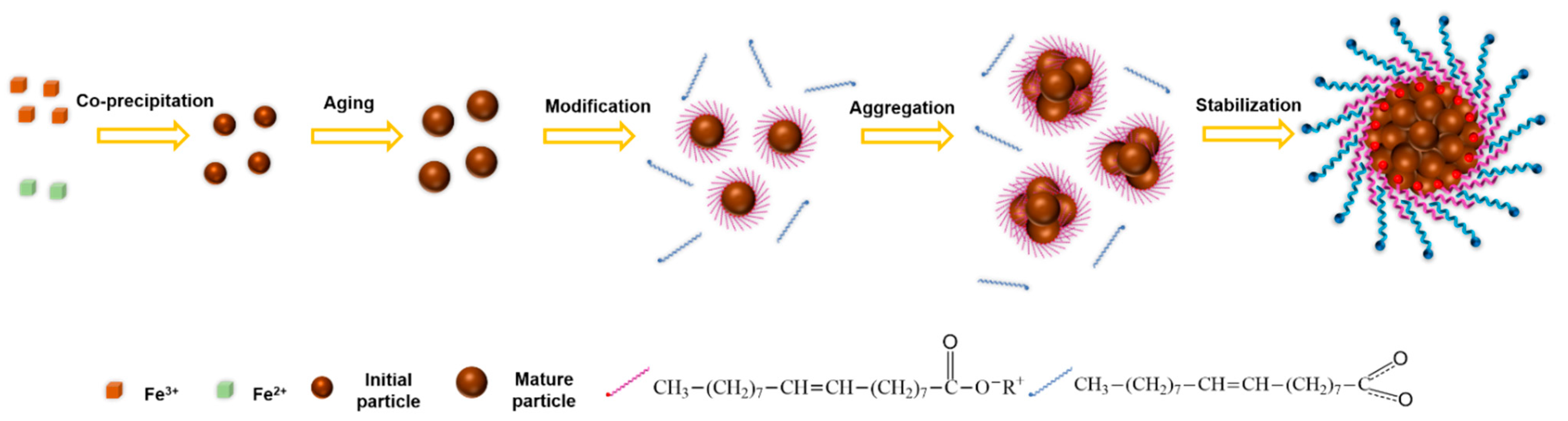 Nanomaterials 12 00350 g010
