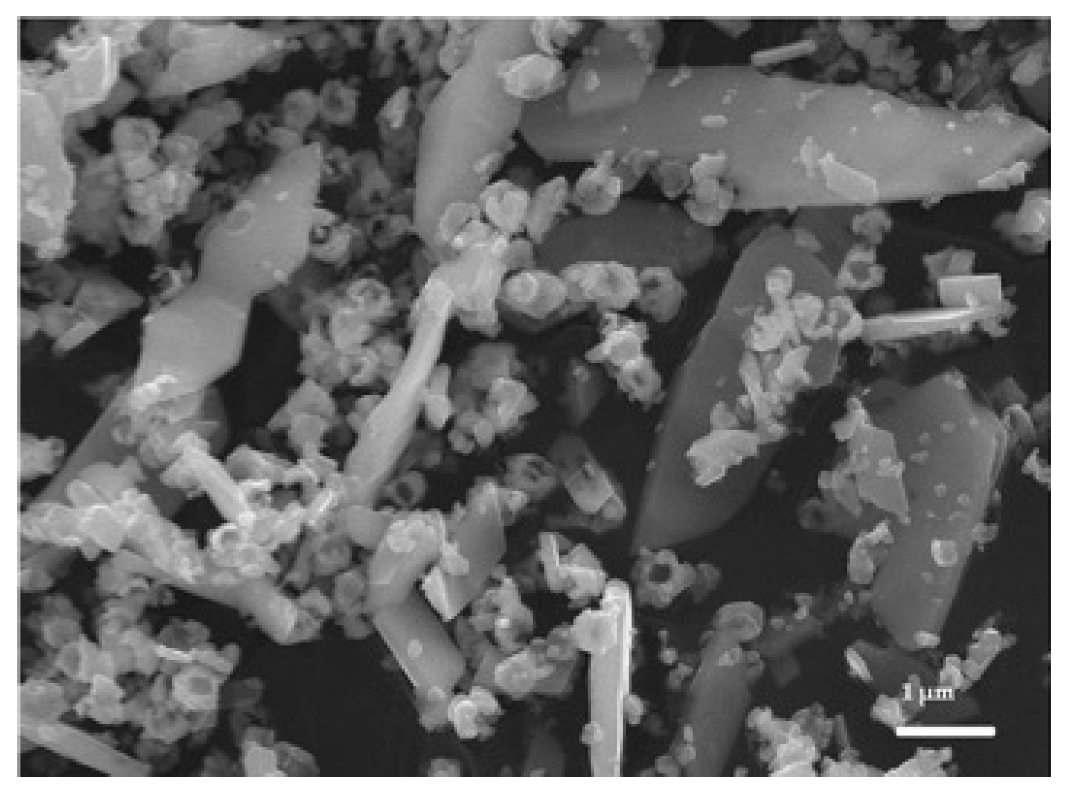 Nanomaterials 12 00362 g002