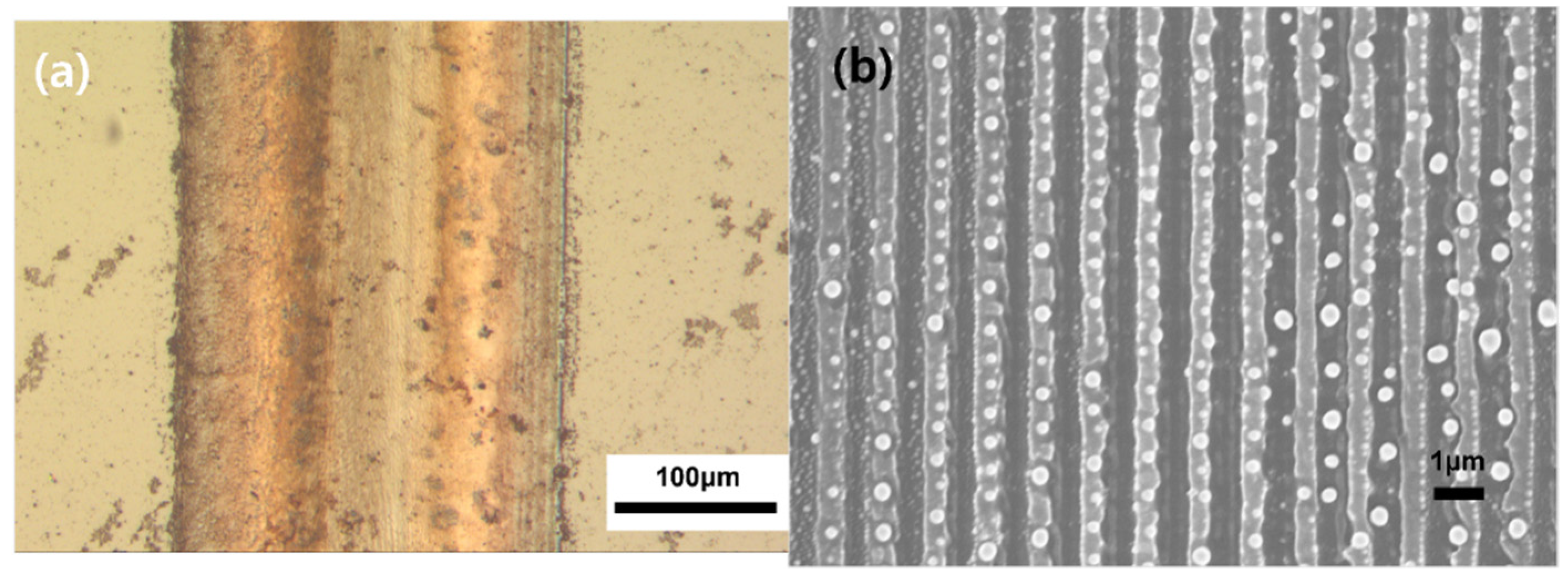 Nanomaterials 12 00387 g002