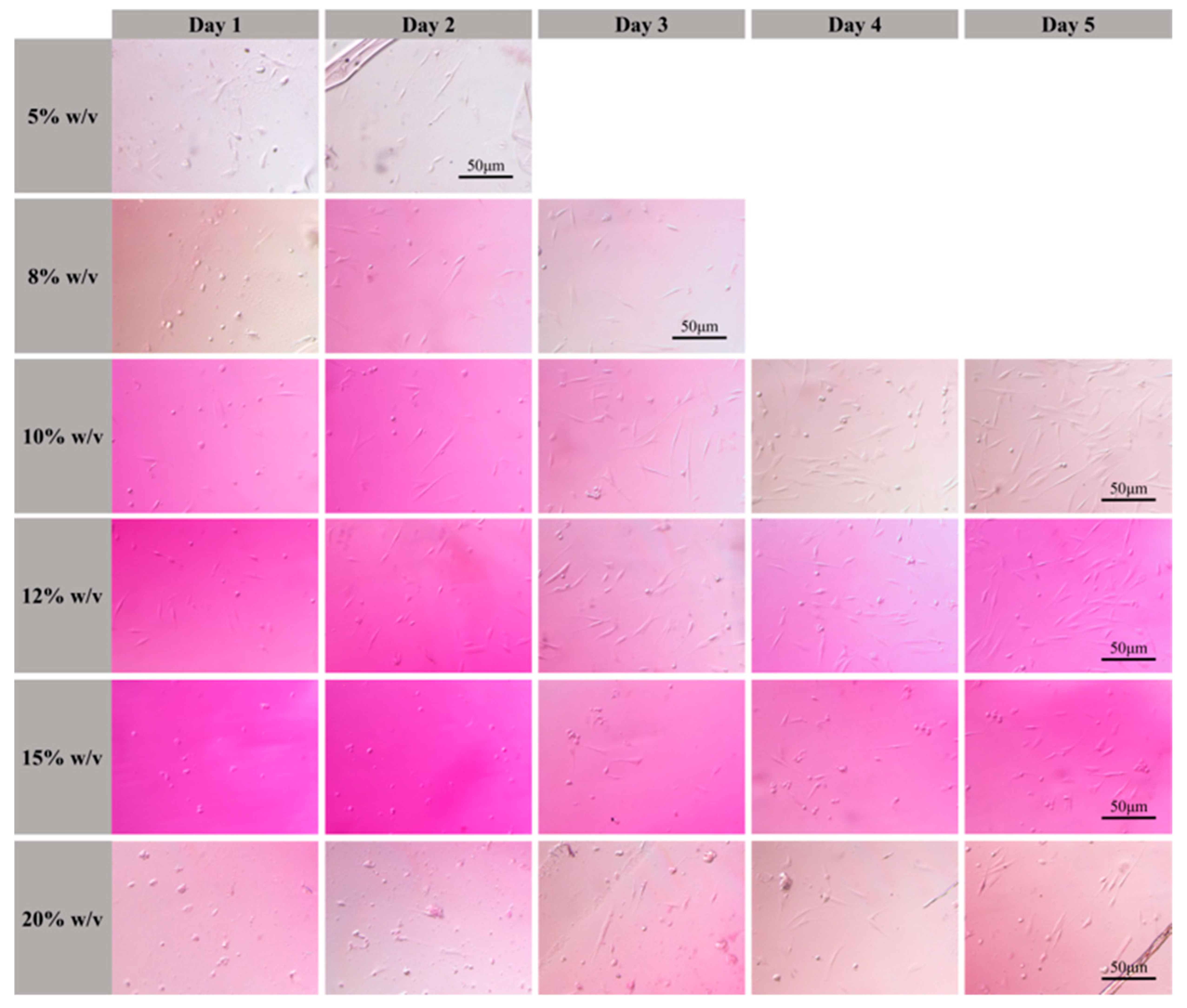 Nanomaterials 12 00391 g007