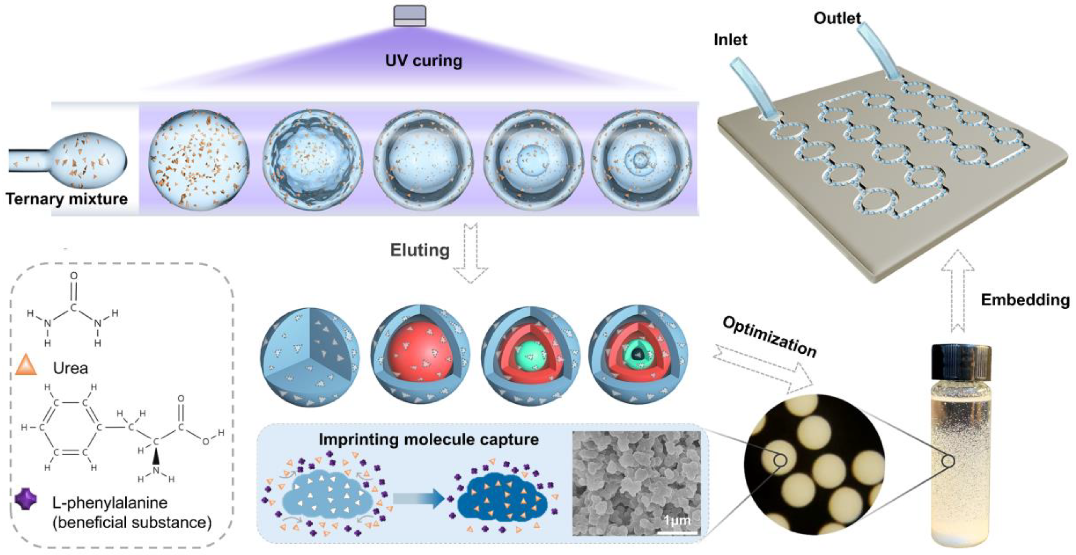 Nanomaterials 12 00418 g001