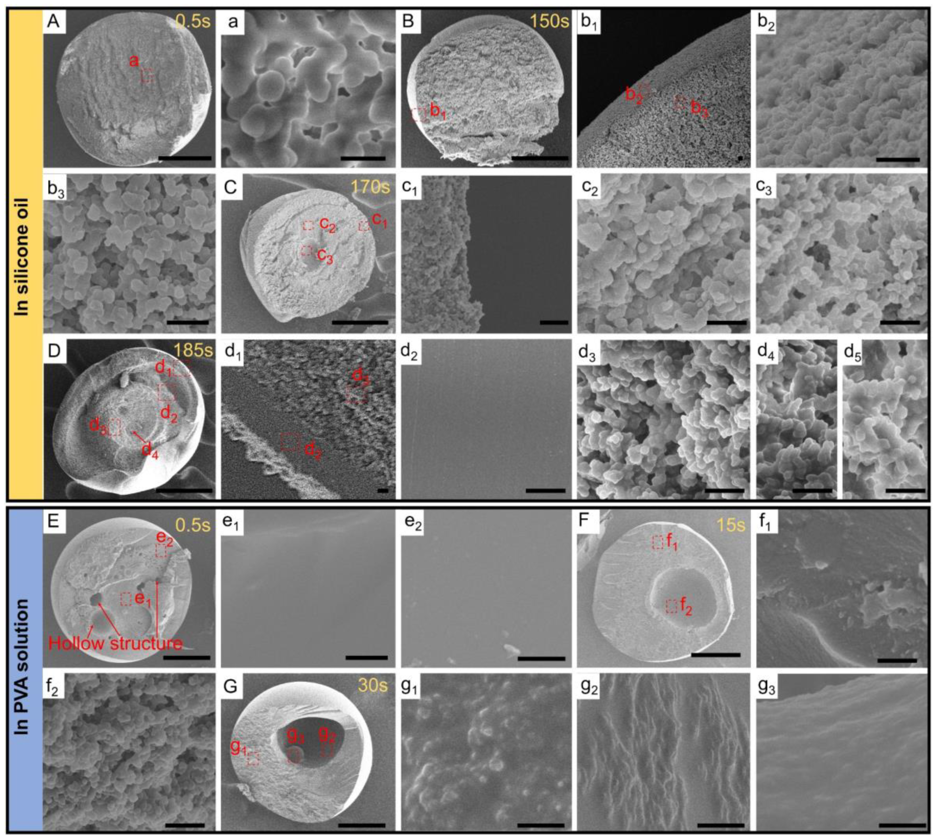 Nanomaterials 12 00418 g003