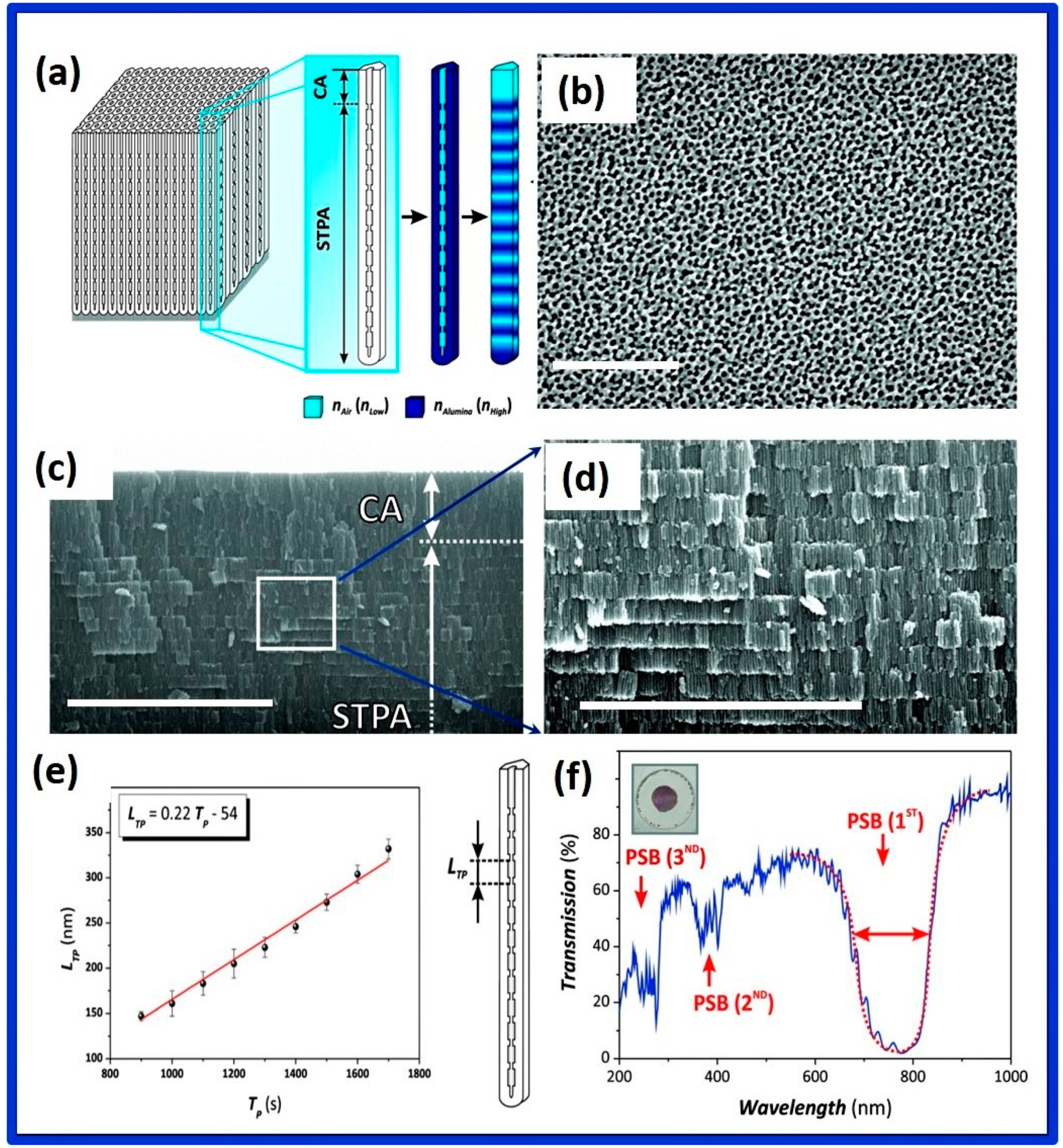 Nanomaterials 12 00444 g011 Nanomaterials 12 00444 g011