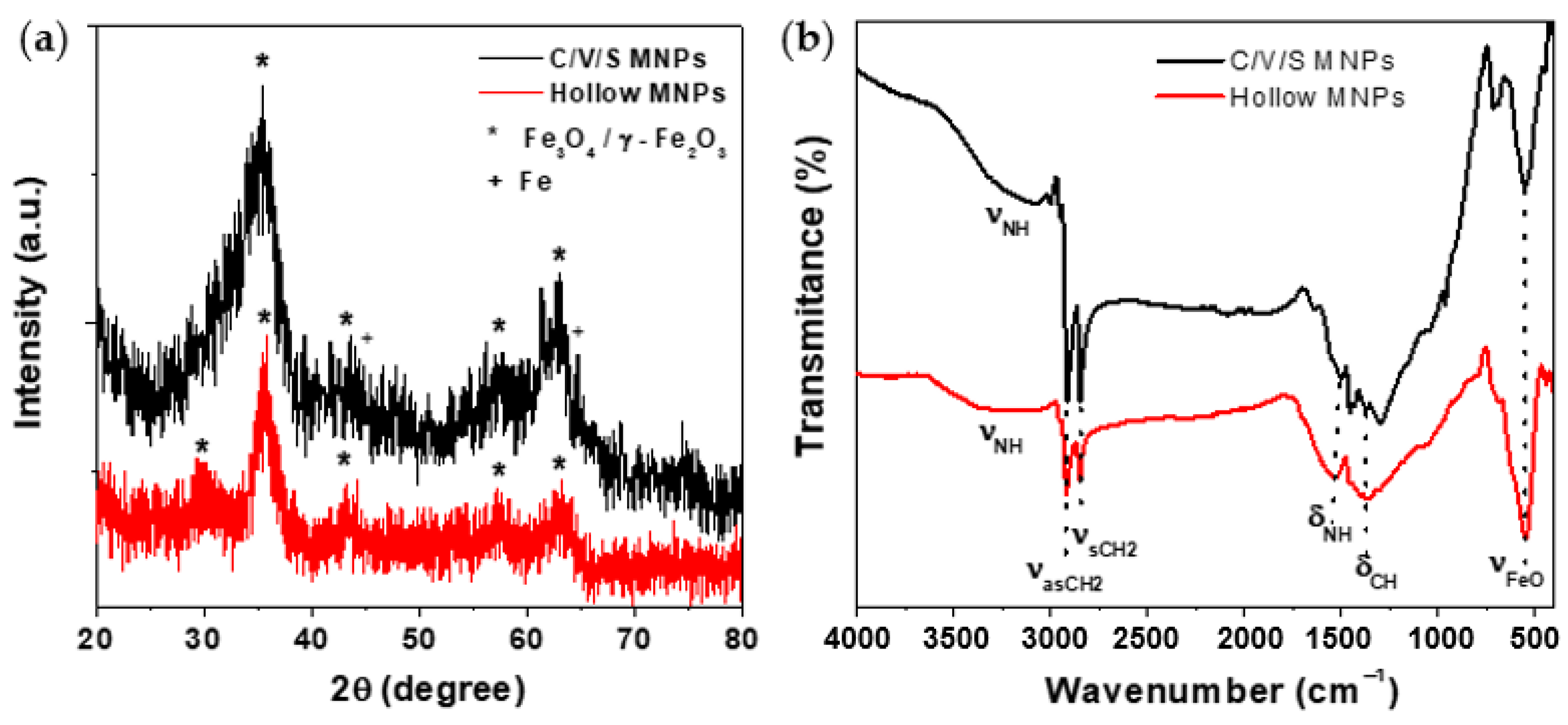 Nanomaterials 12 00456 g001
