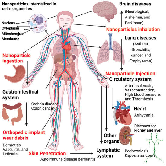 Nanomaterials | Free Full-Text | Review on Nanoparticles and ...