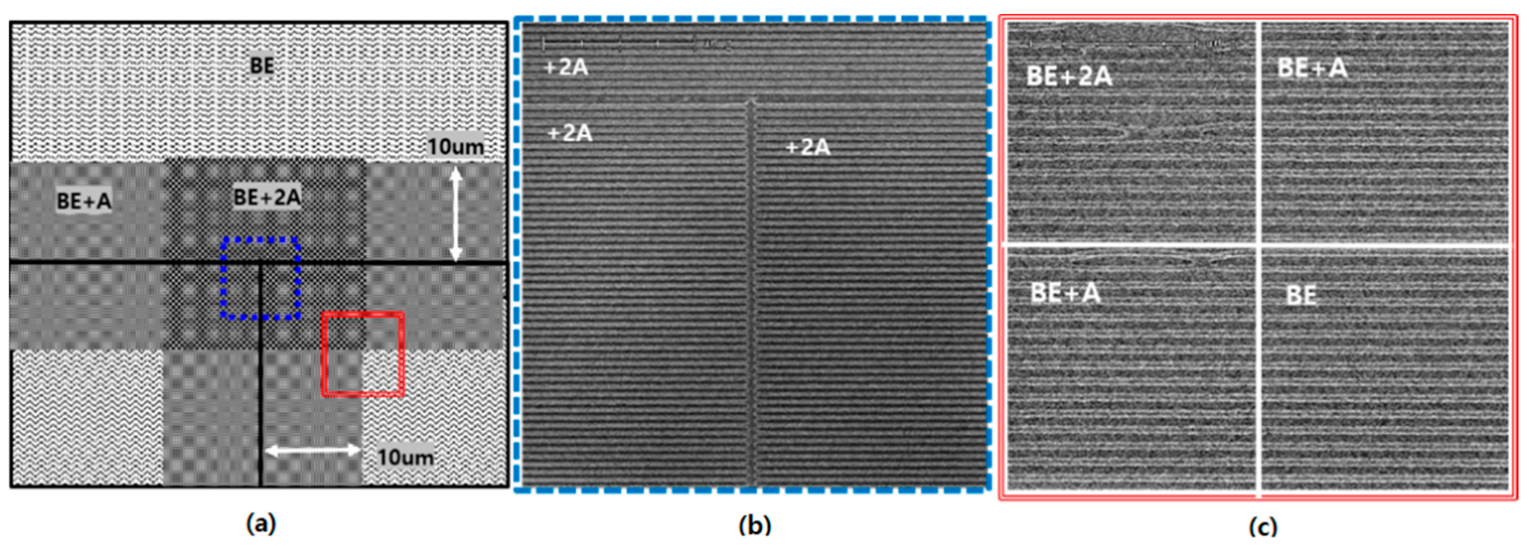 Nanomaterials 12 00481 g005