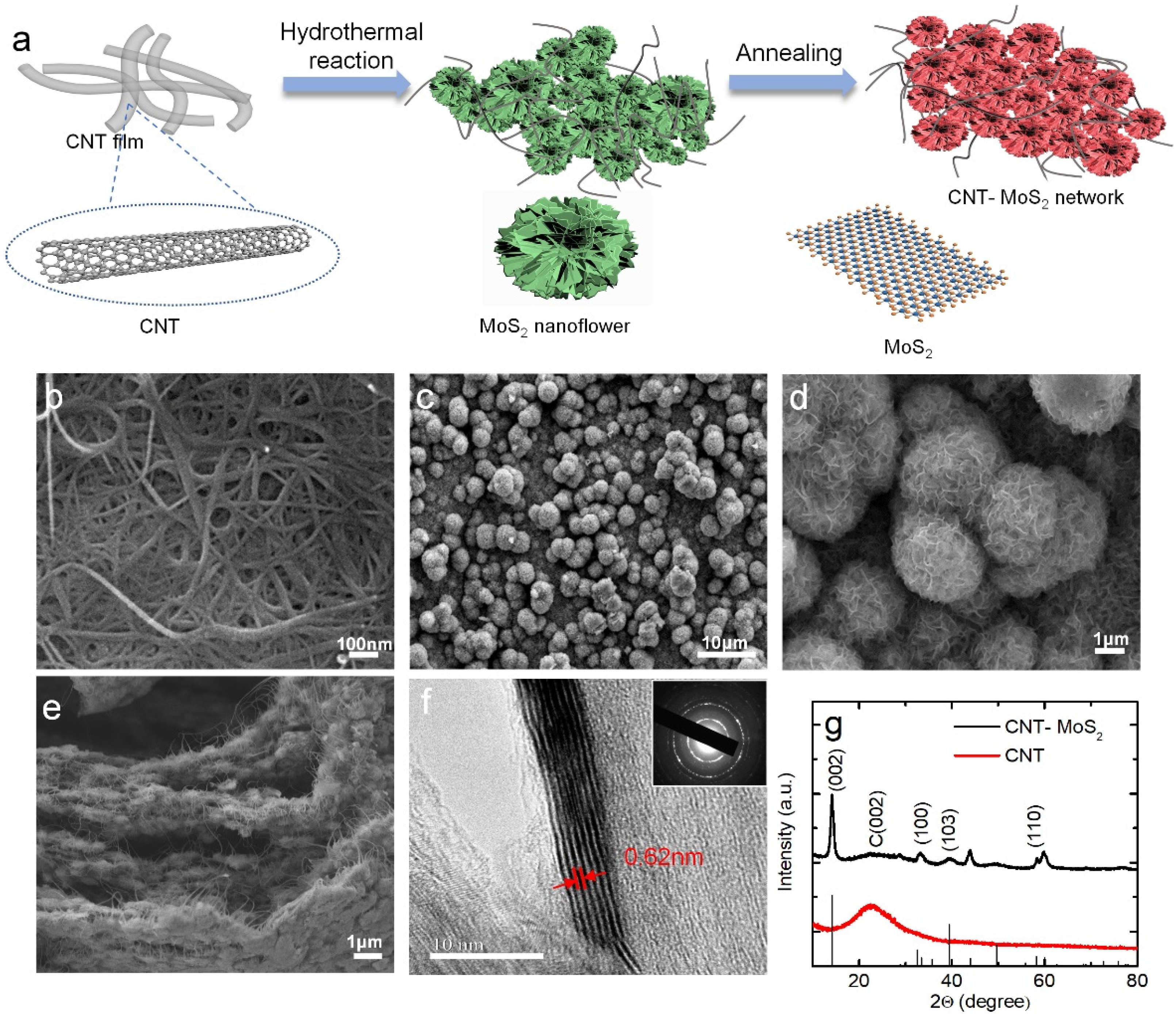 Nanomaterials 12 00495 g001 Nanomaterials 12 00495 g001