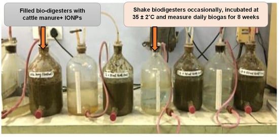 Nanomaterials | Free Full-Text | Biostimulation Of Anaerobic Digestion ...