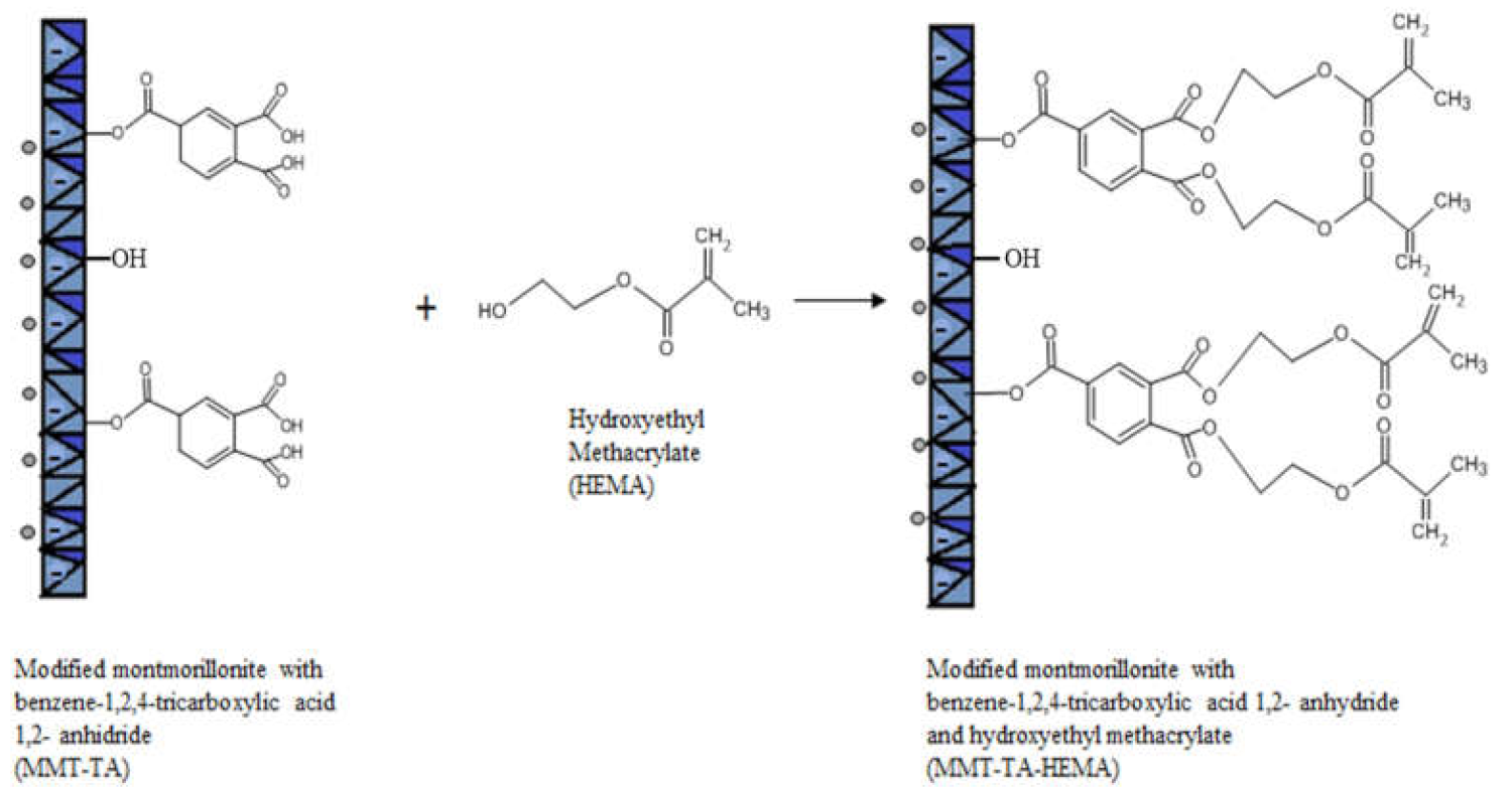 Nanomaterials 12 00503 g003
