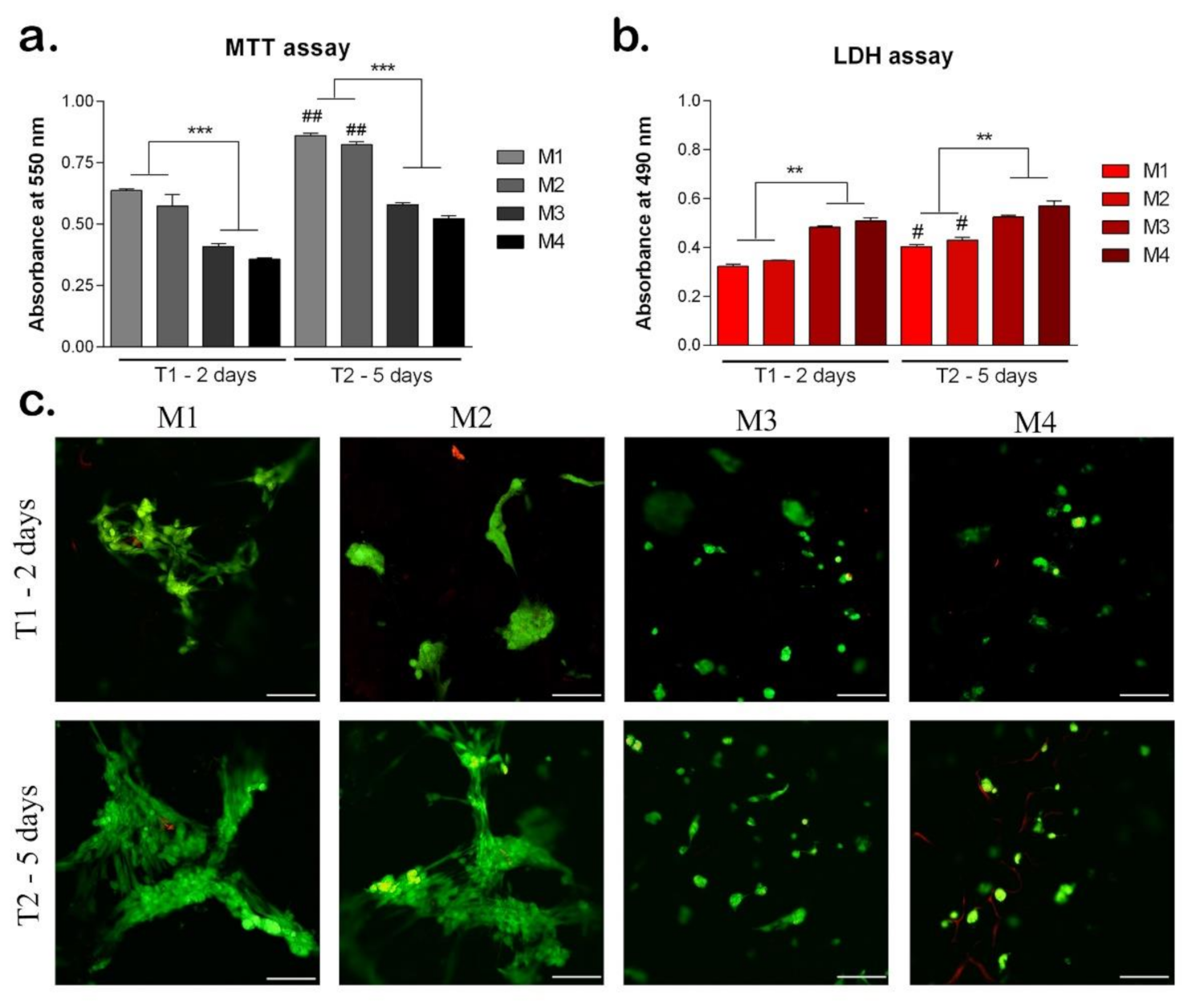 Nanomaterials 12 00503 g009