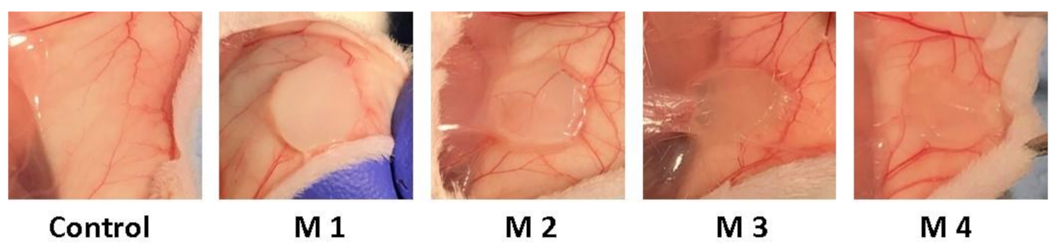 Nanomaterials 12 00503 g011