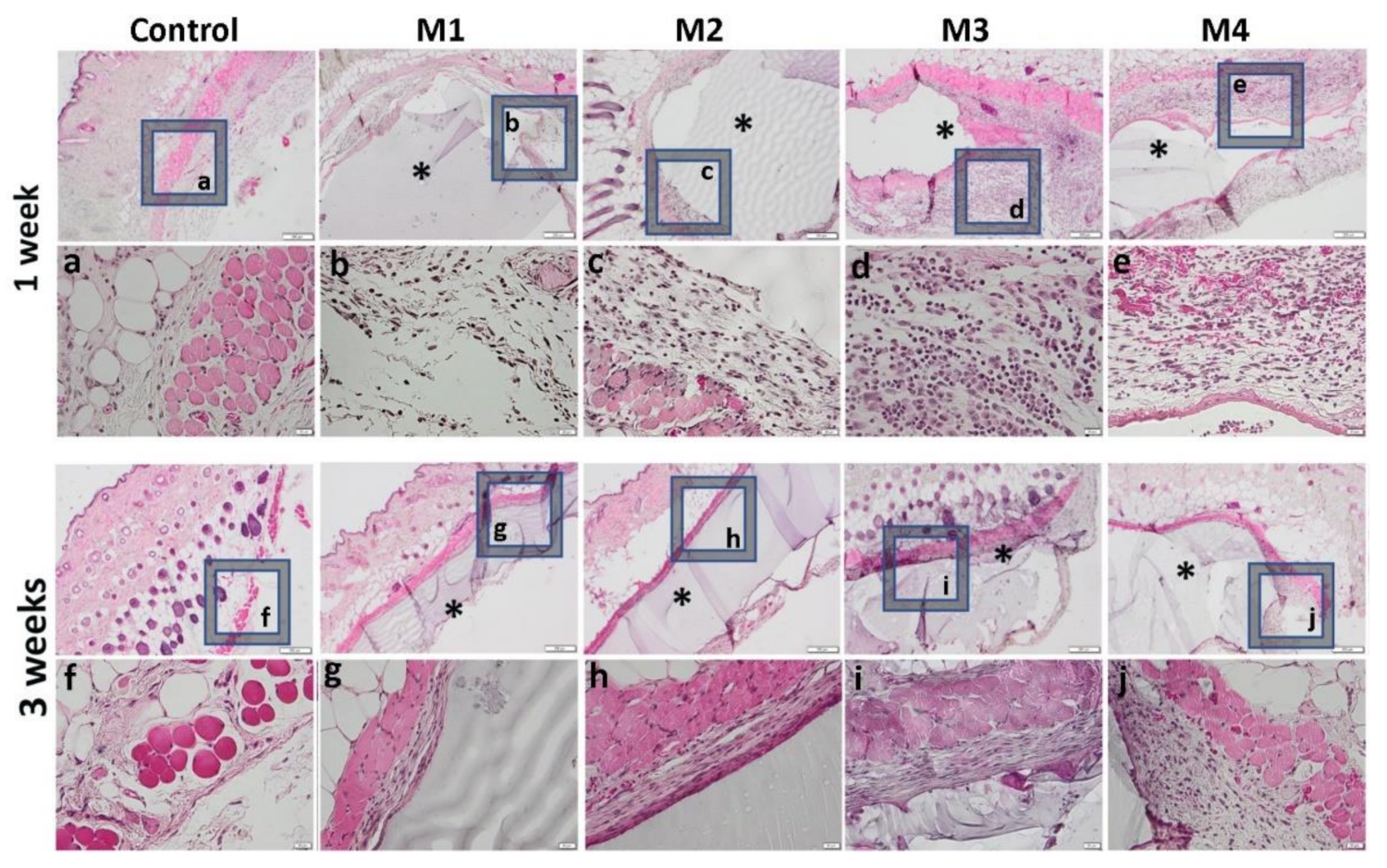 Nanomaterials 12 00503 g013