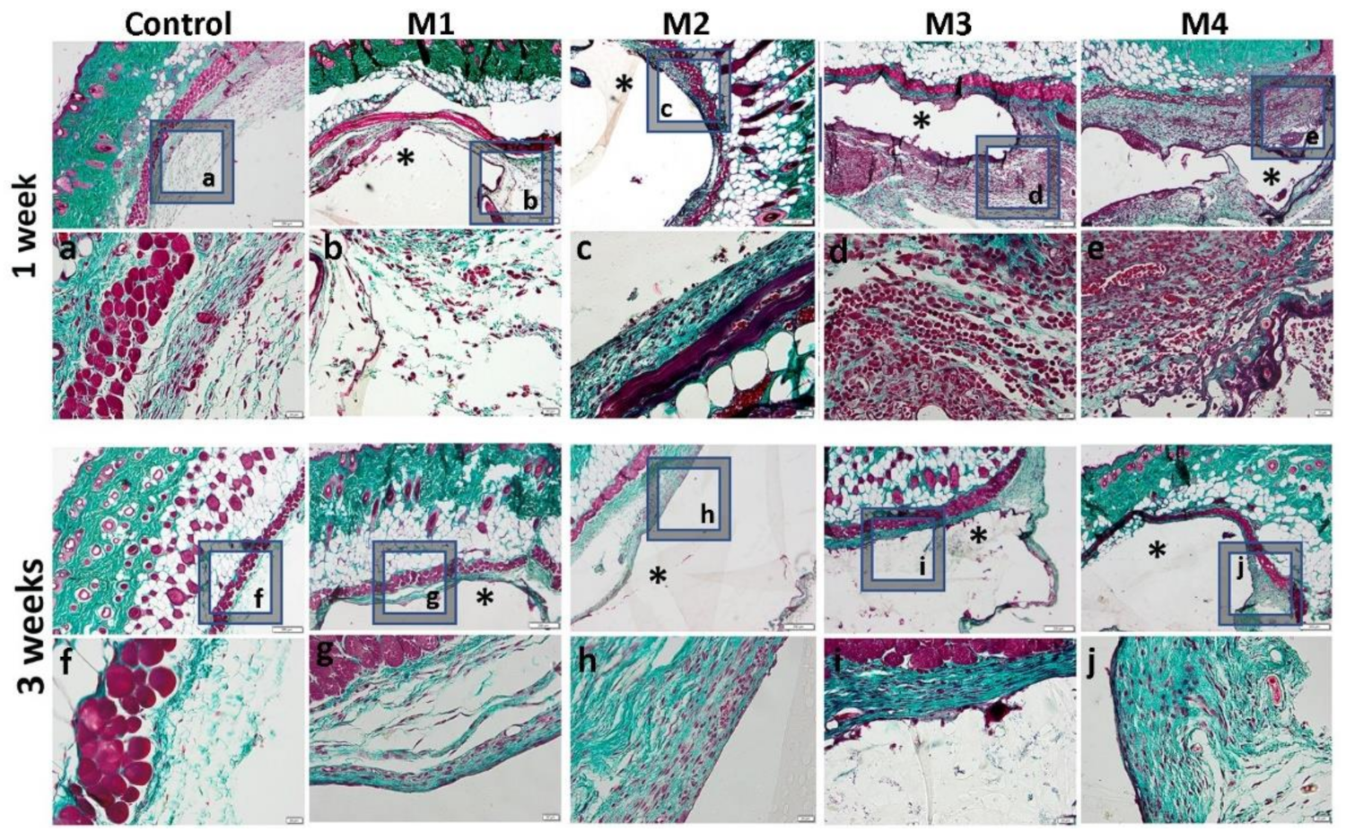 Nanomaterials 12 00503 g014