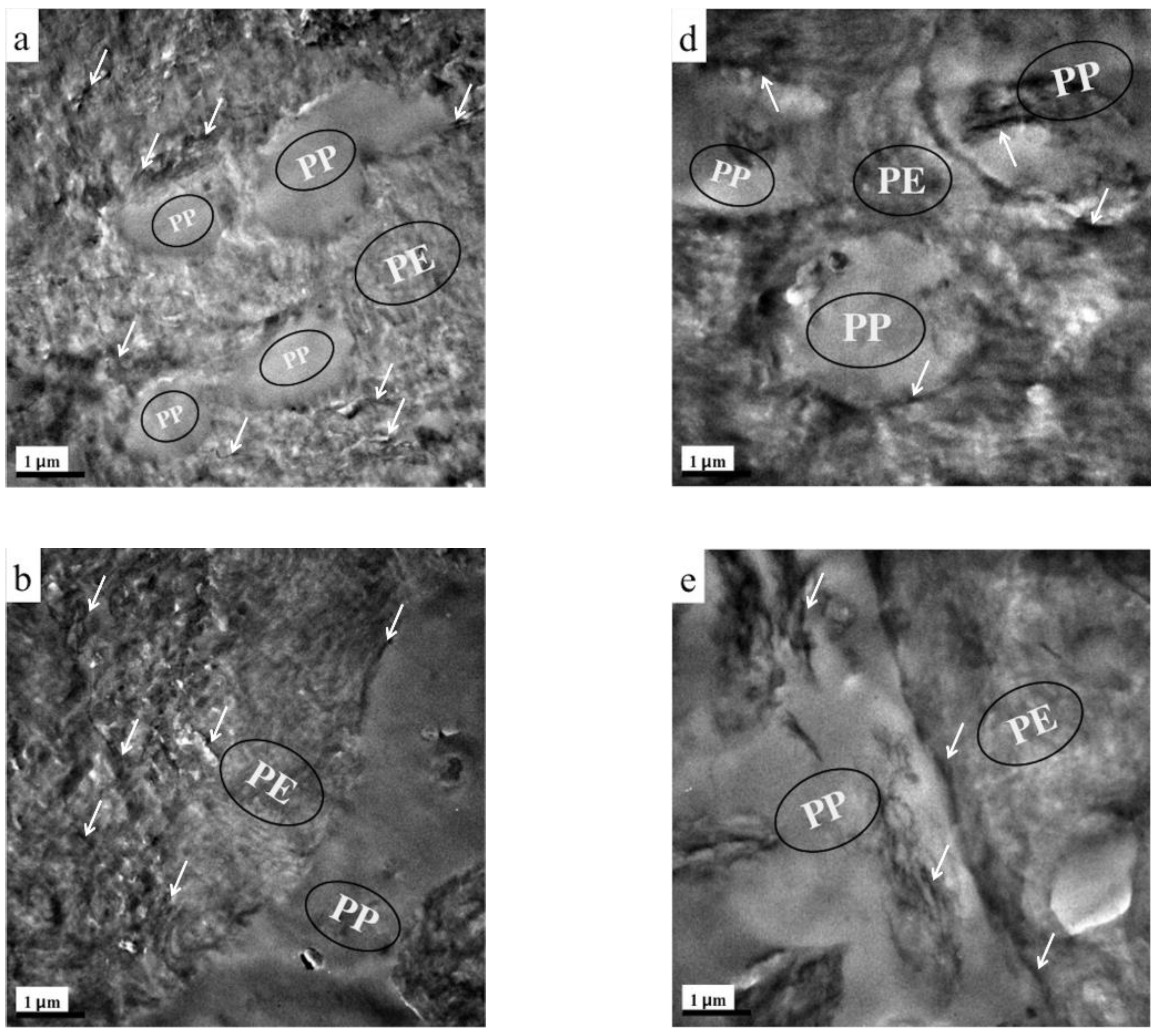 Nanomaterials 12 00509 g001a