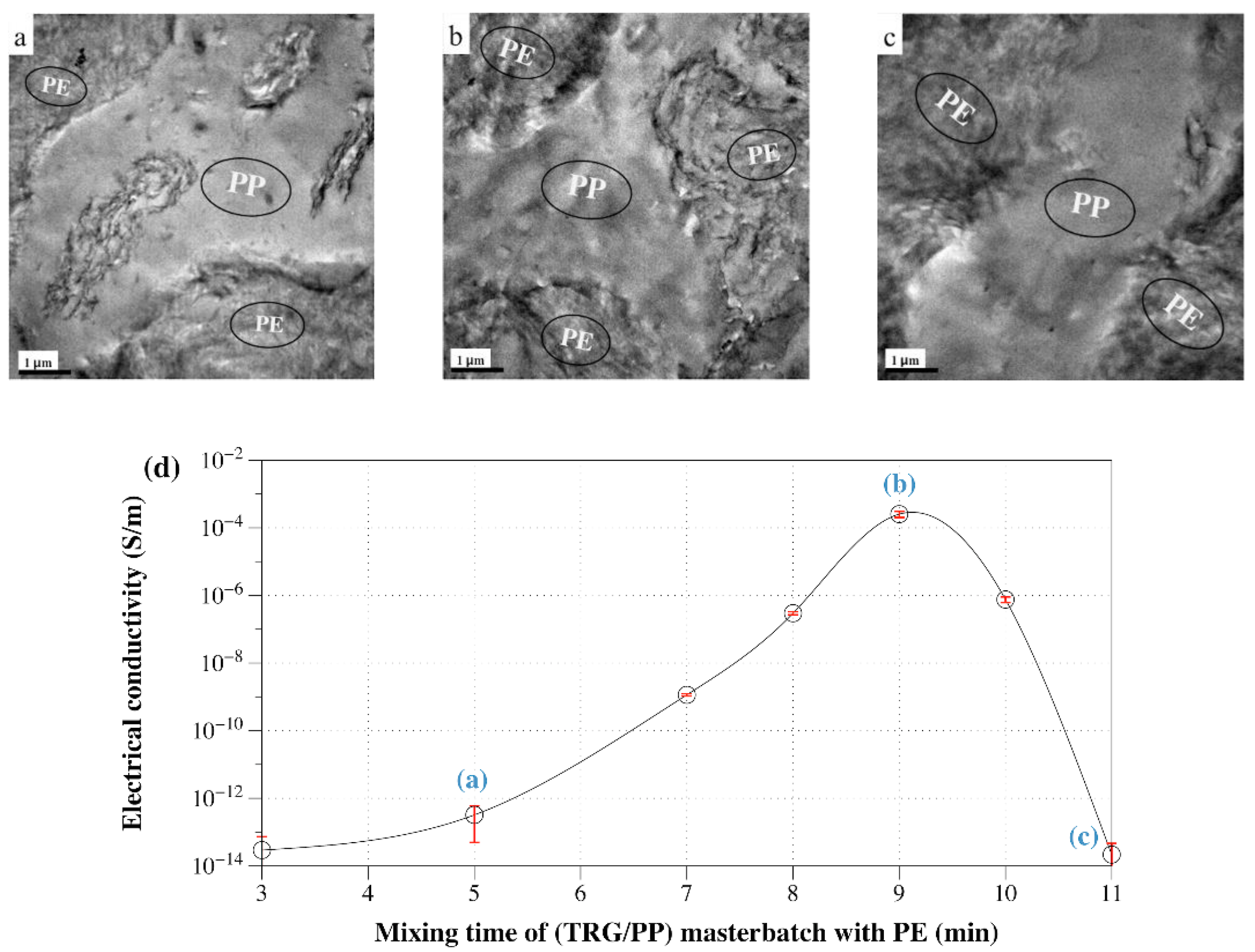 Nanomaterials 12 00509 g007