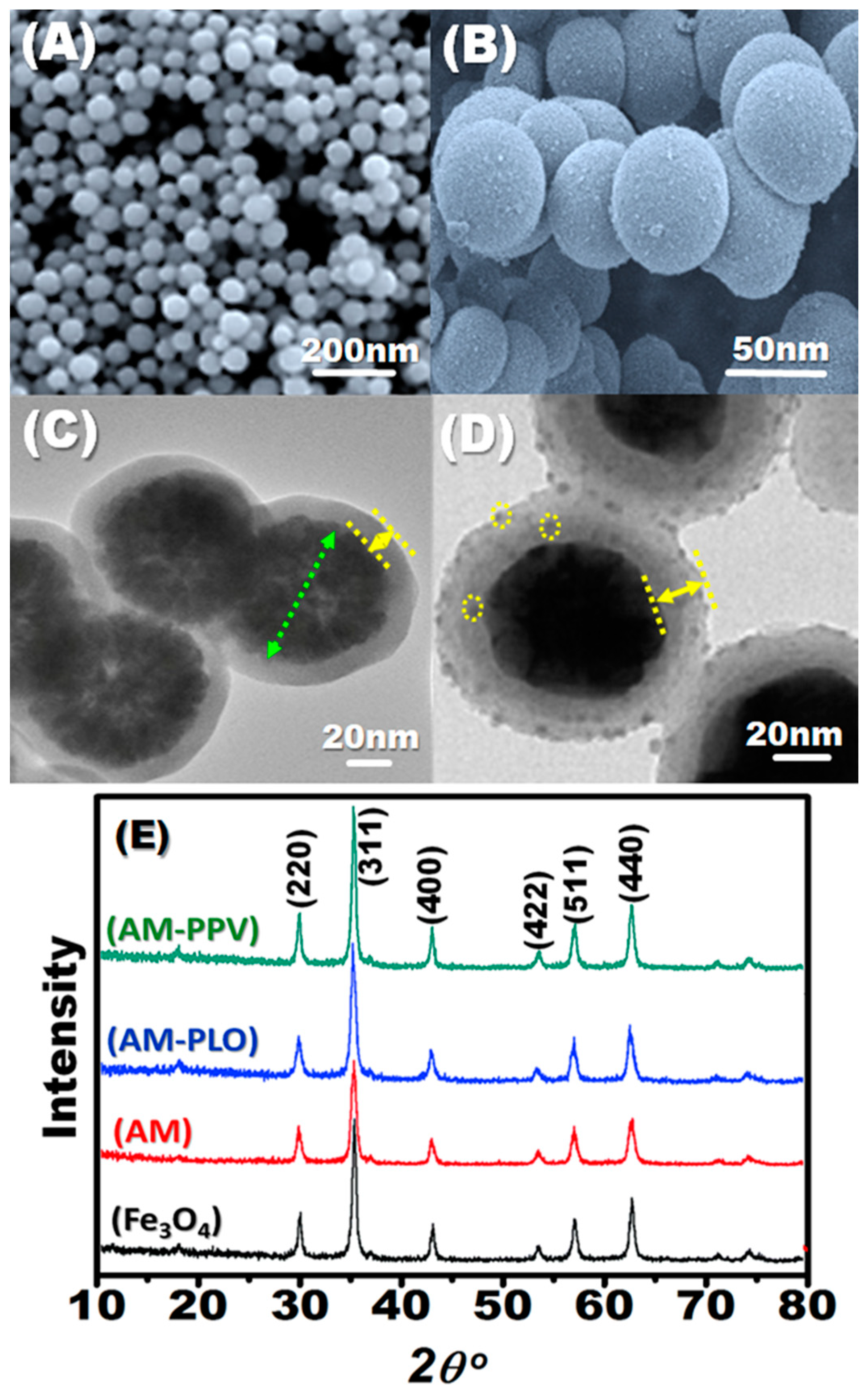 Nanomaterials 12 00510 g001