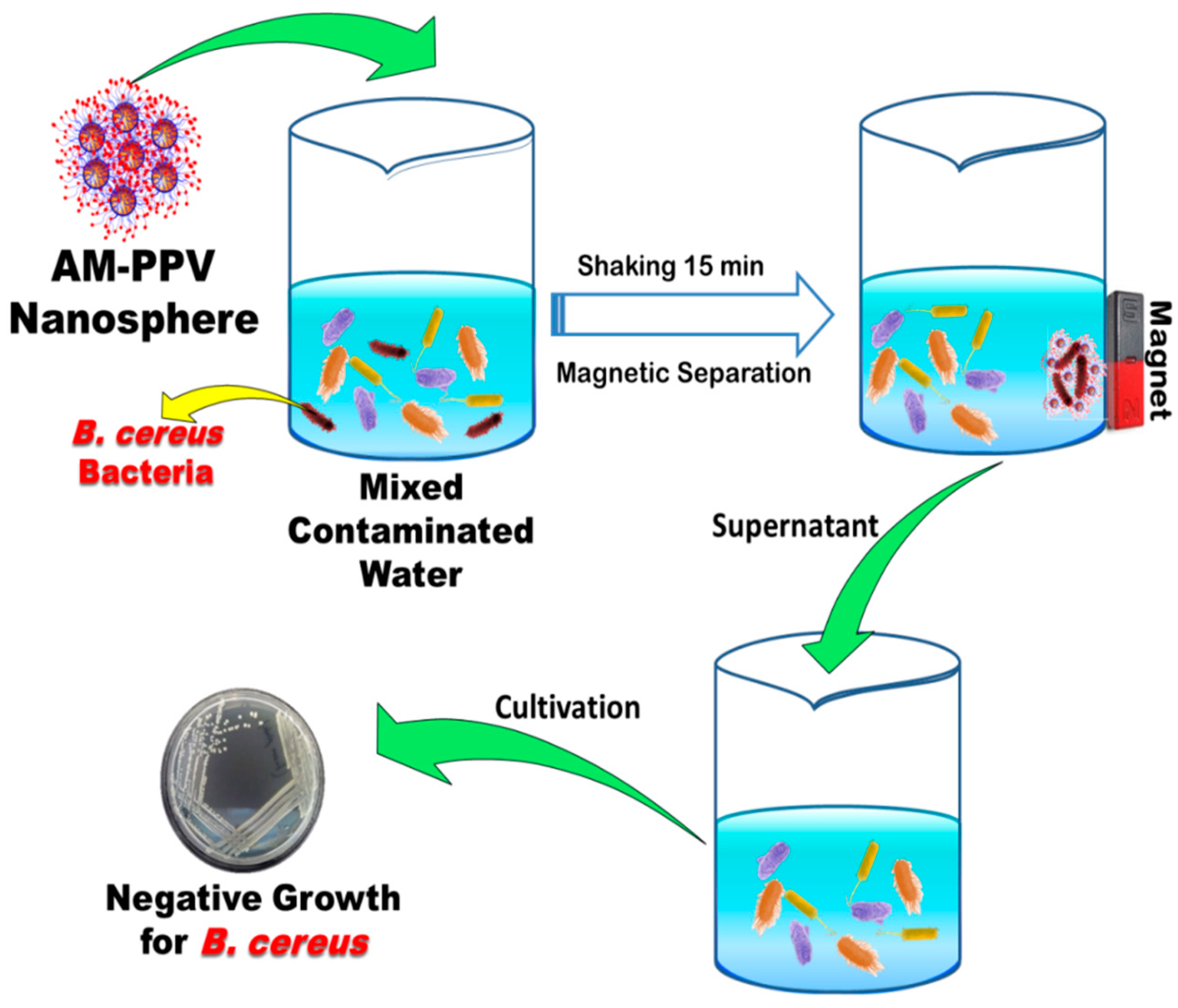 Nanomaterials 12 00510 sch003