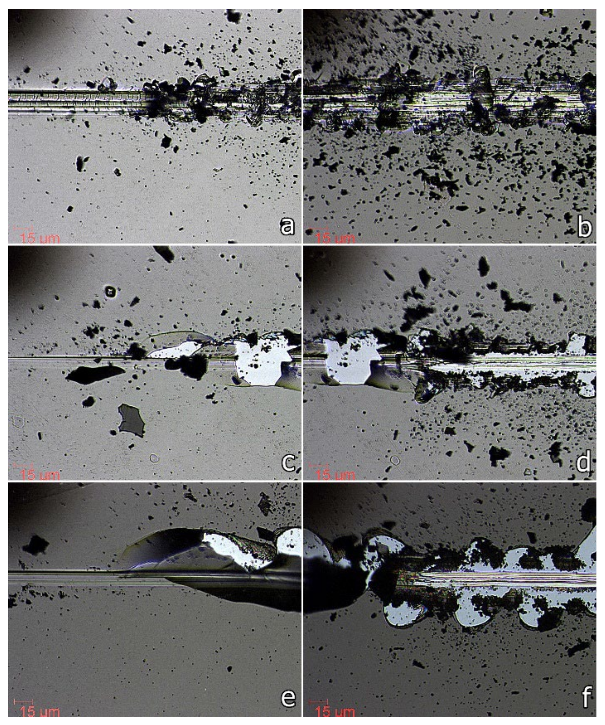 Nanomaterials 12 00512 g006