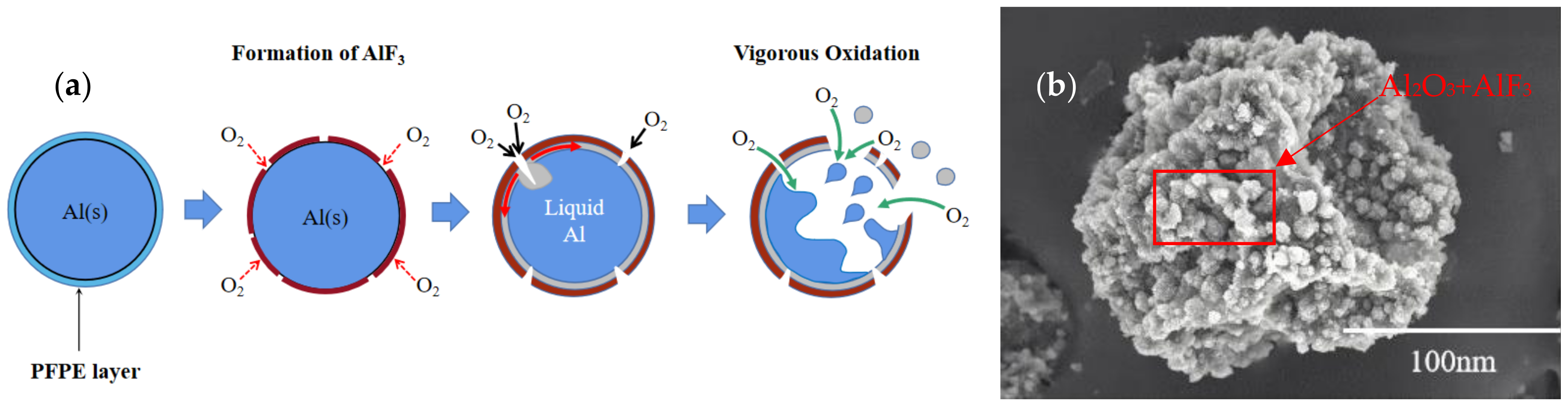 Nanomaterials 12 00530 g007