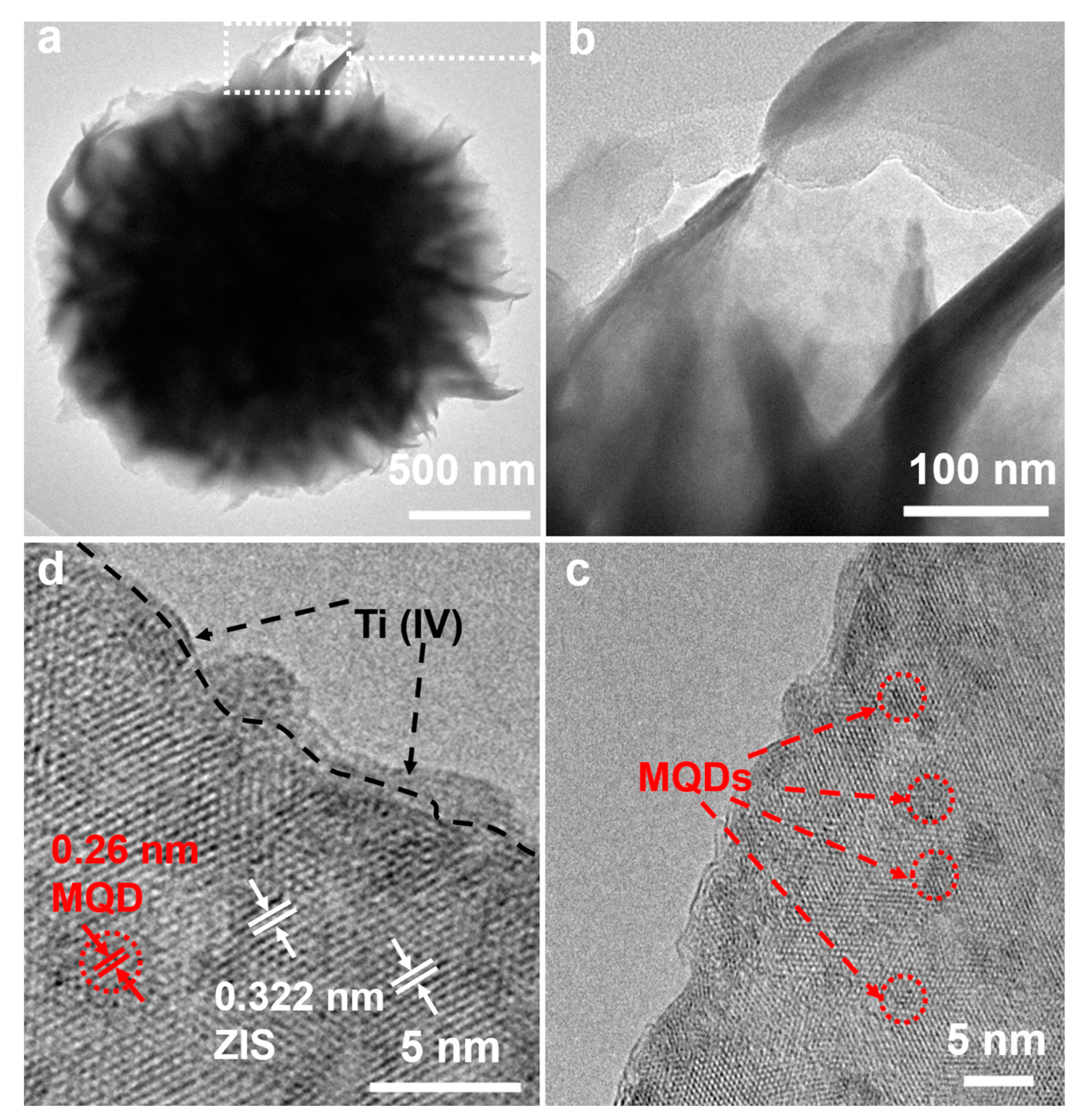 Nanomaterials 12 00542 g003