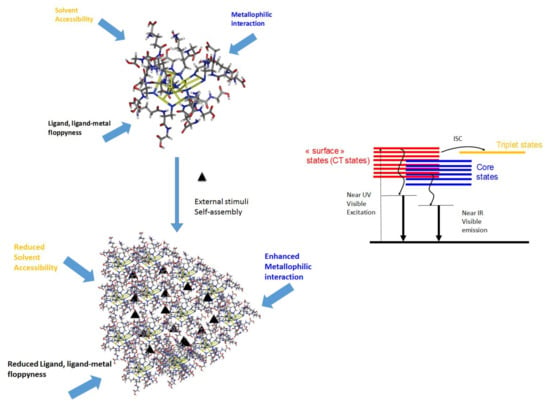 Shape-assisted self-assembly