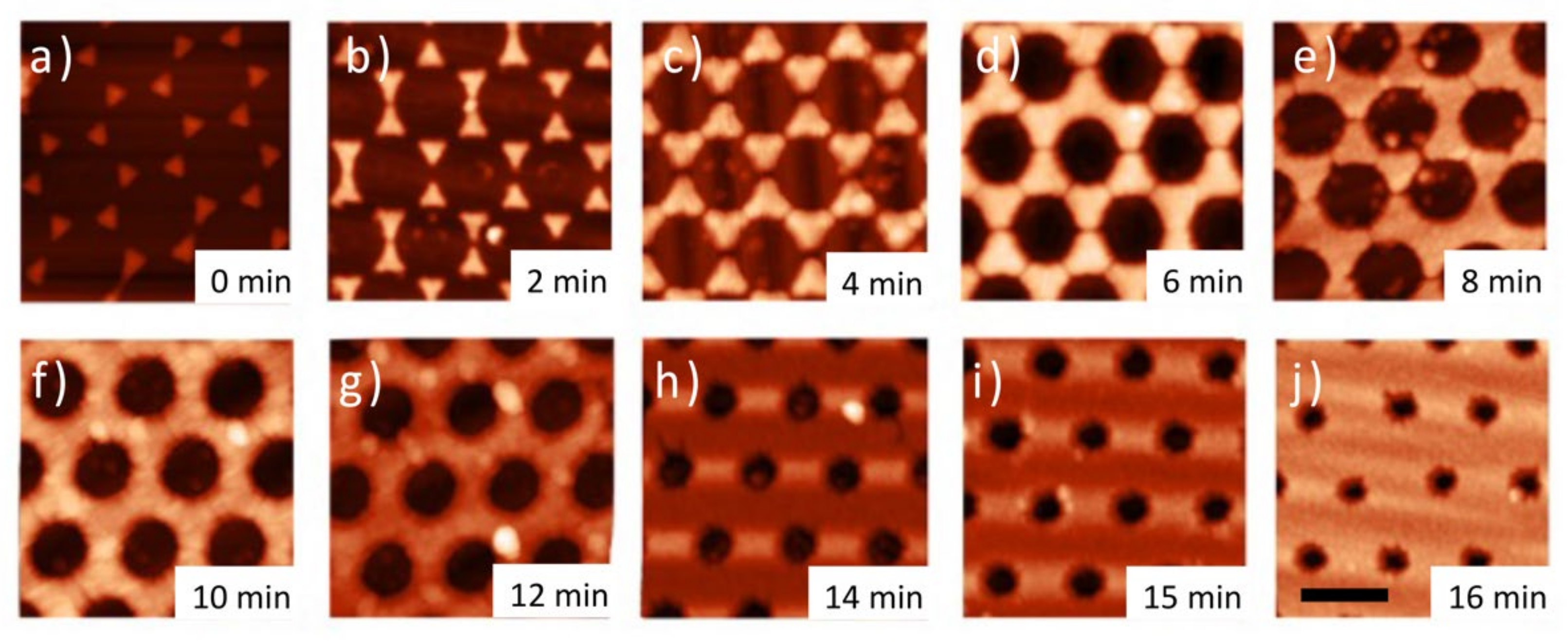 Nanomaterials 12 00547 g004
