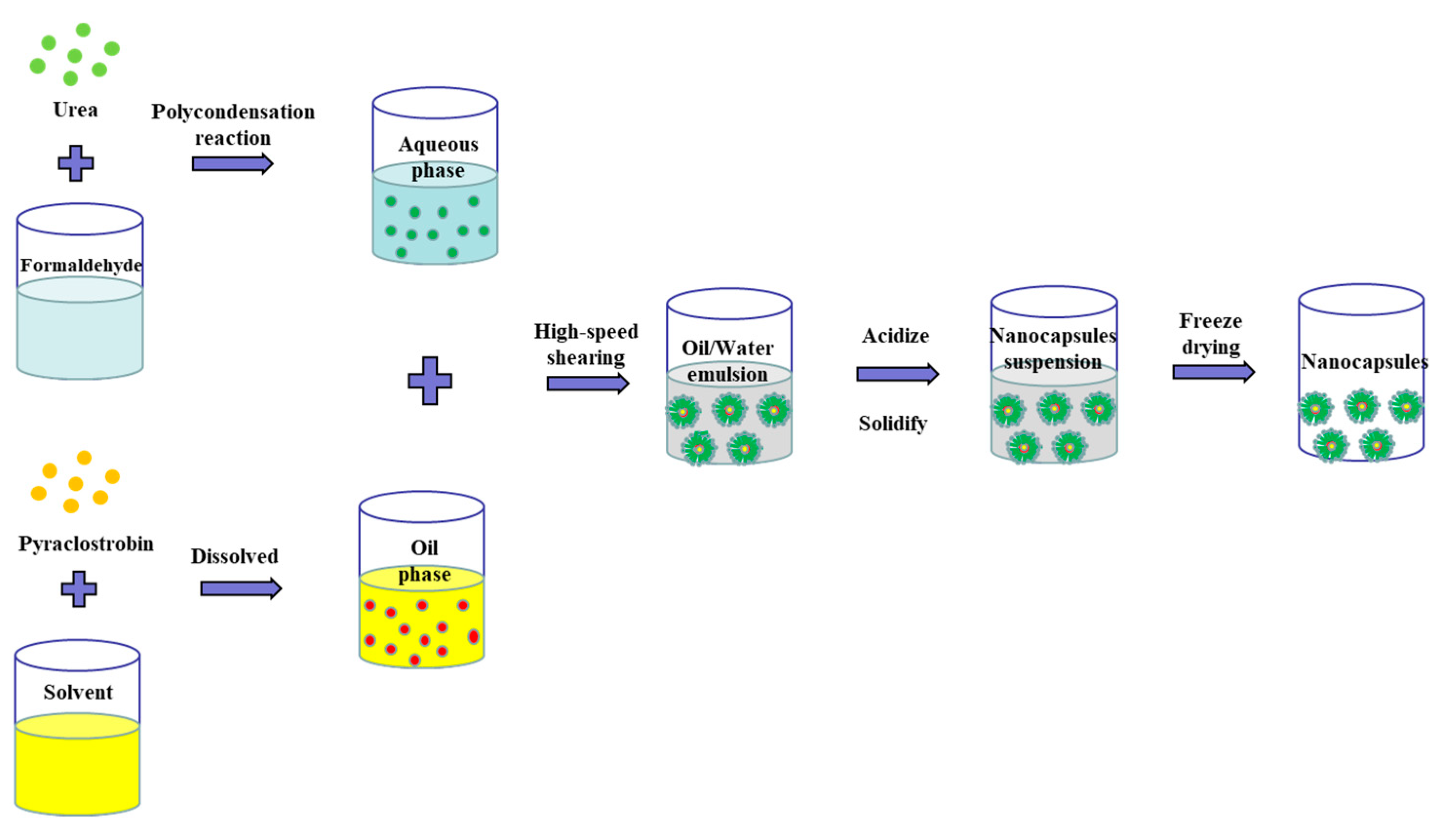 Nanomaterials 12 00549 g001