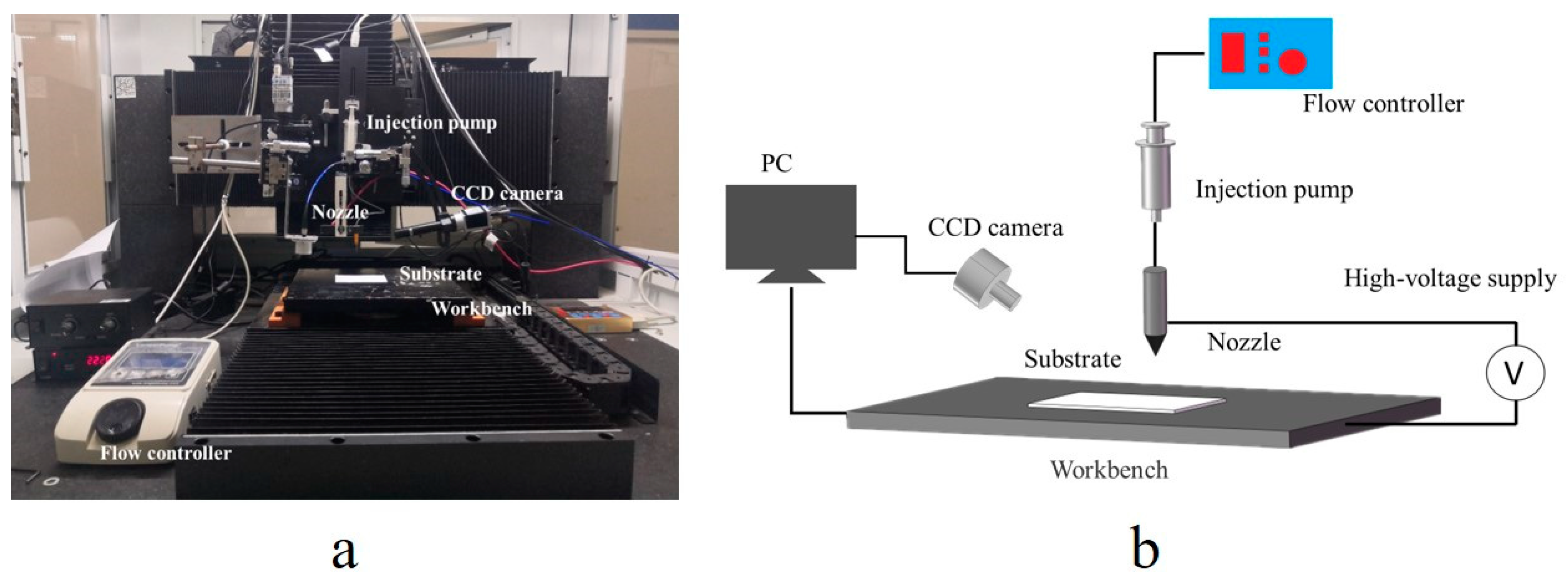 Nanomaterials 12 00560 g001