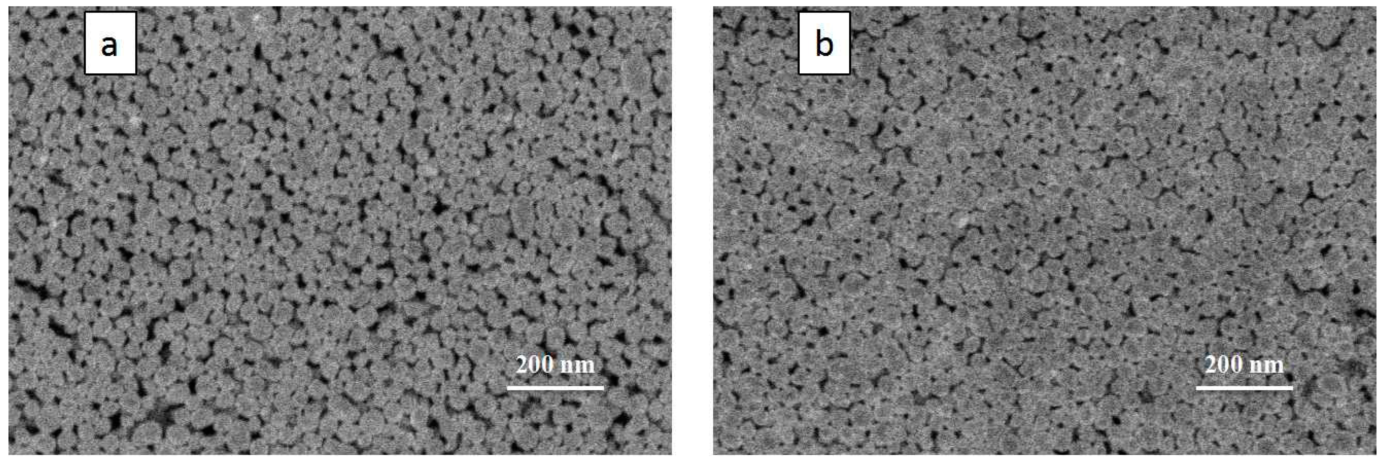 Nanomaterials 12 00560 g007
