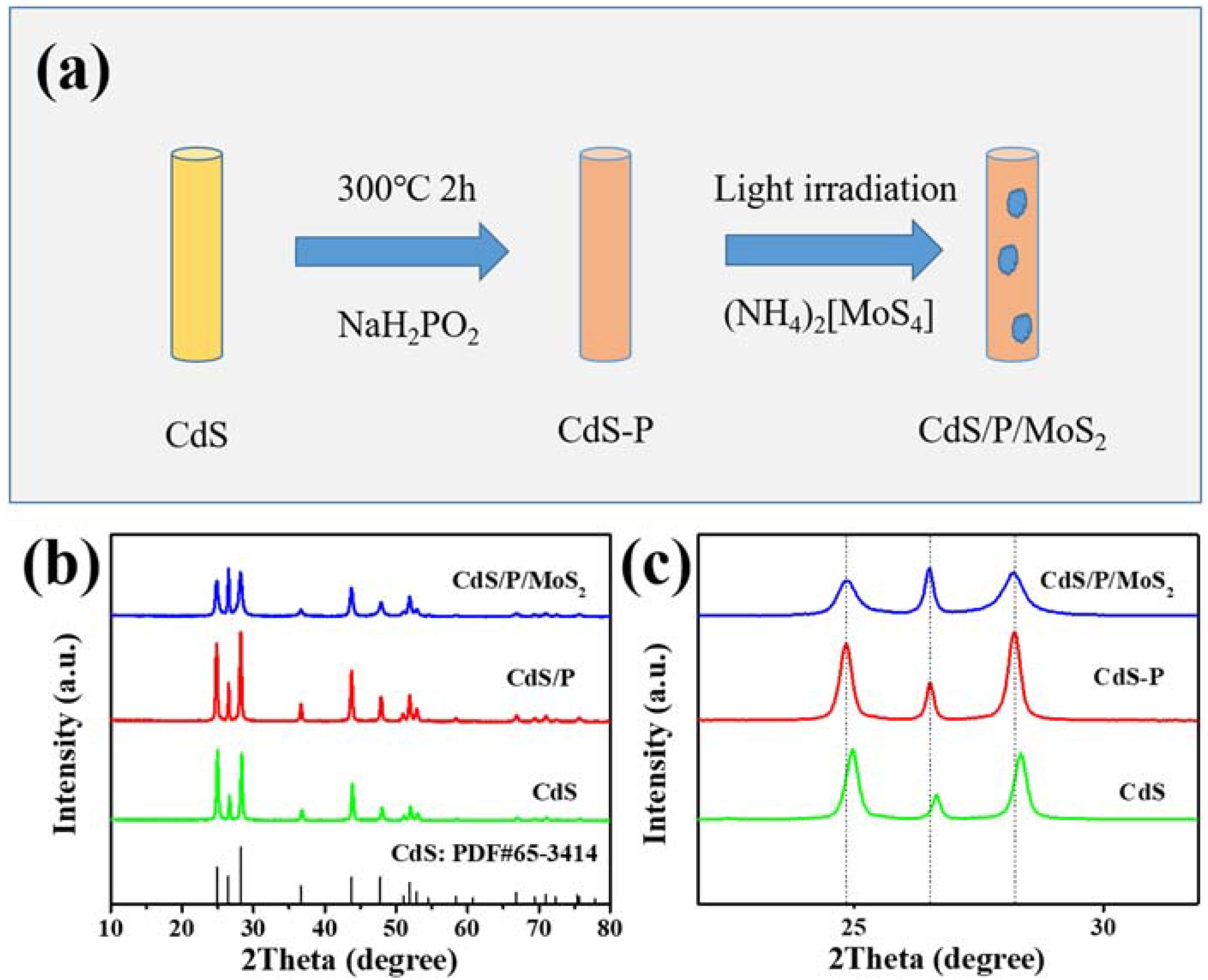 Nanomaterials 12 00561 g001