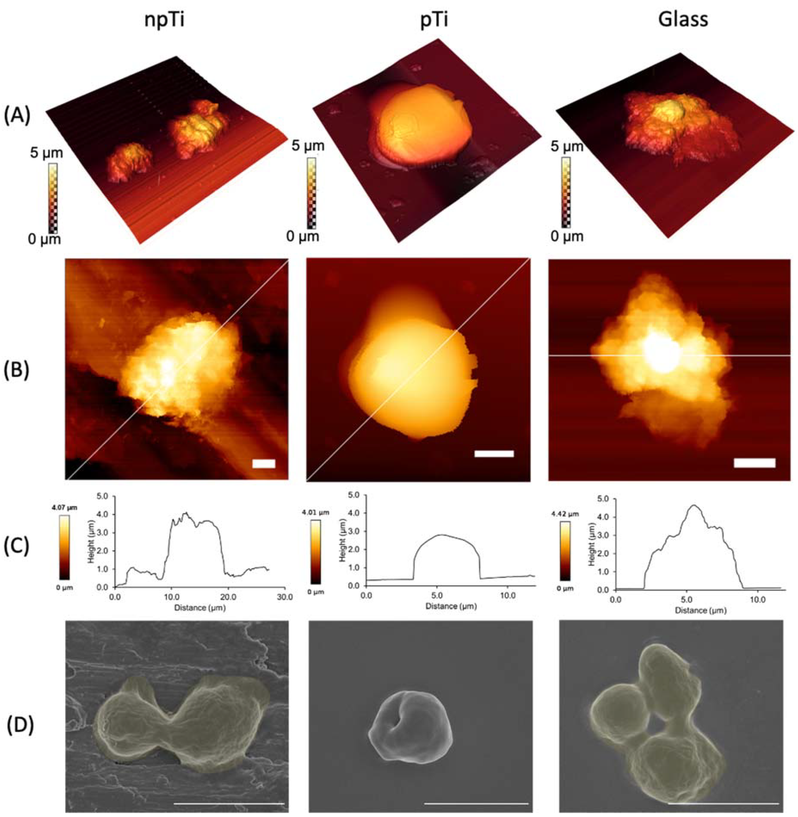 Nanomaterials 12 00567 g002 Nanomaterials 12 00567 g002