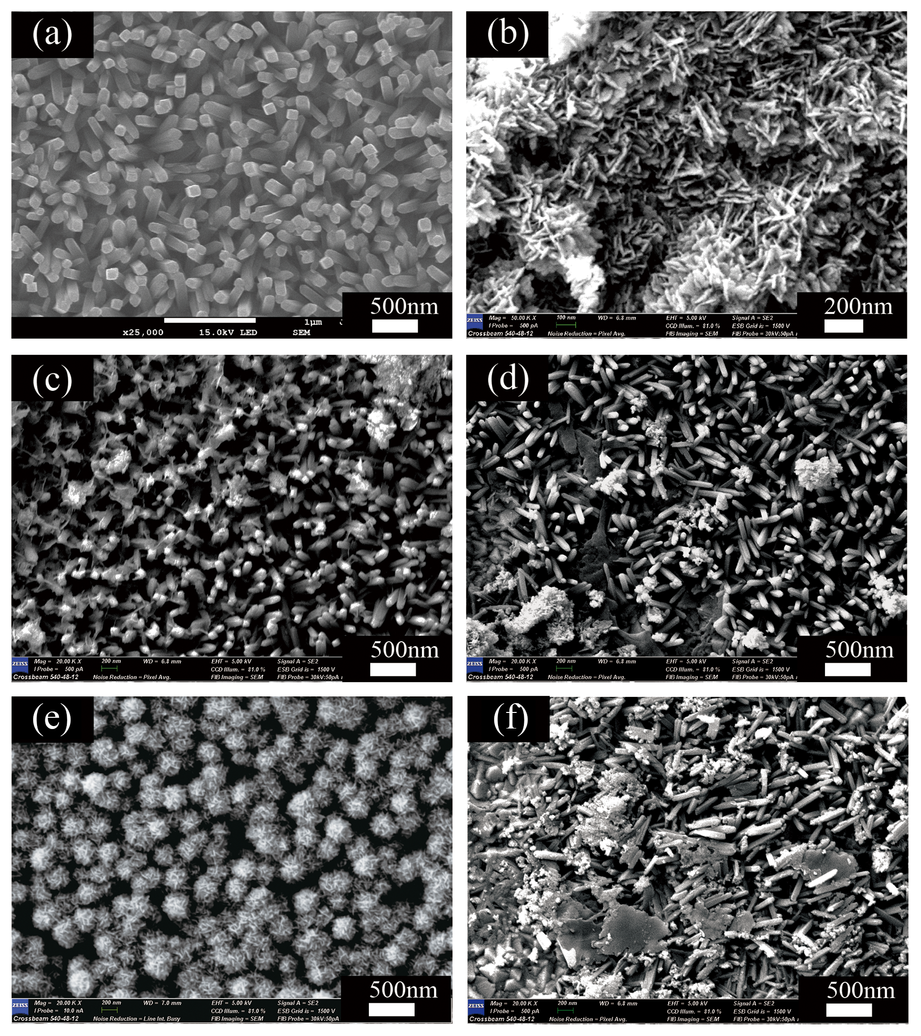 Nanomaterials 12 00574 g003