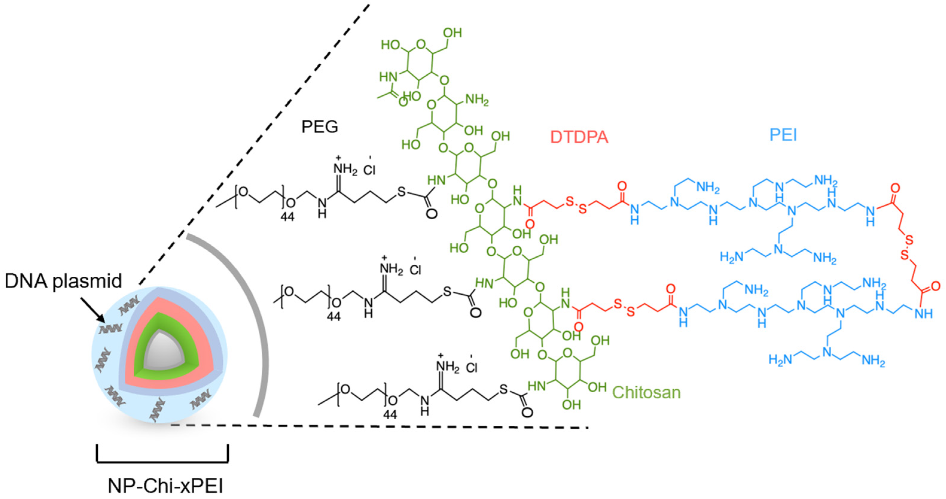 Nanomaterials 12 00584 g001