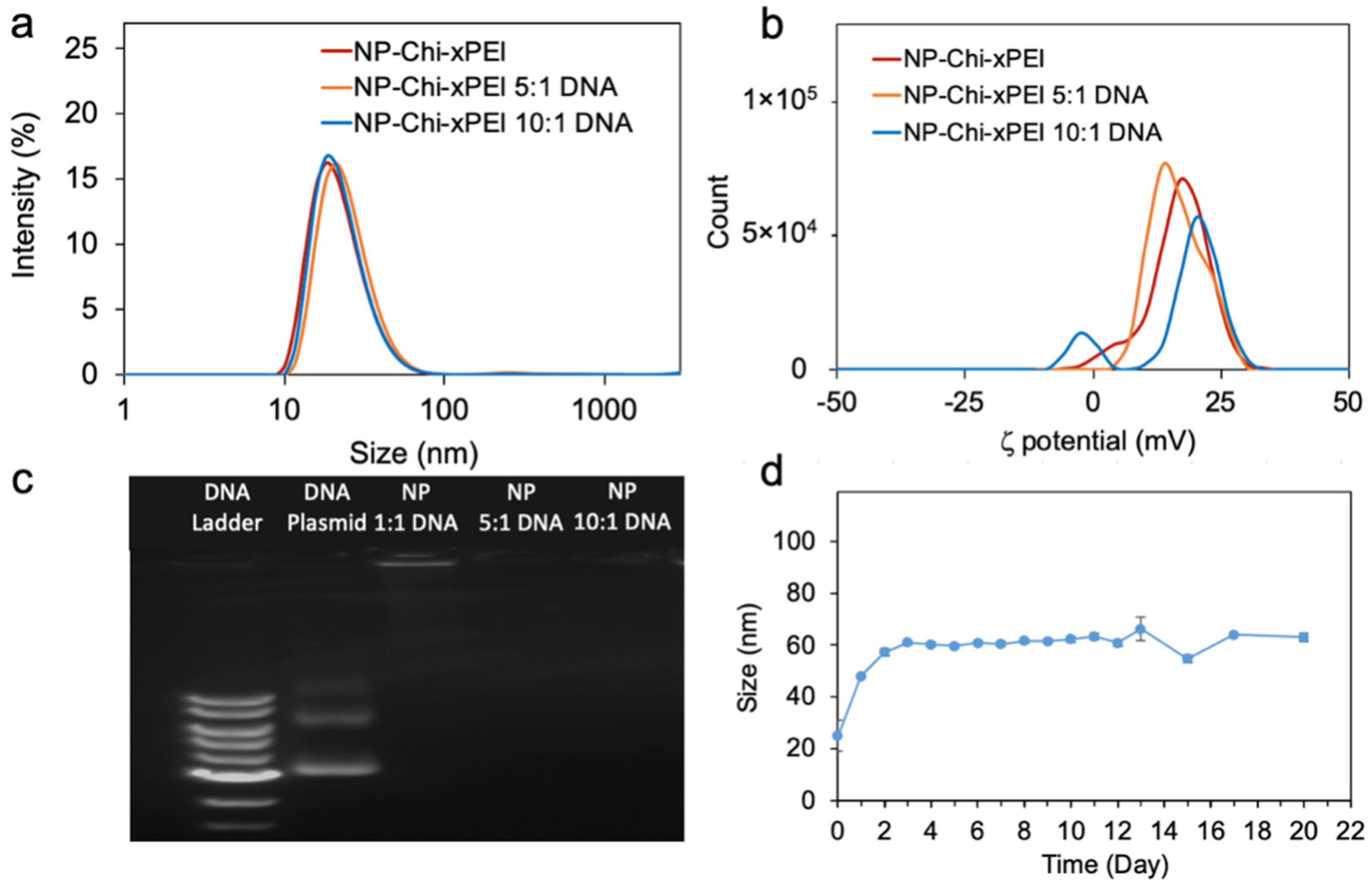 Nanomaterials 12 00584 g004