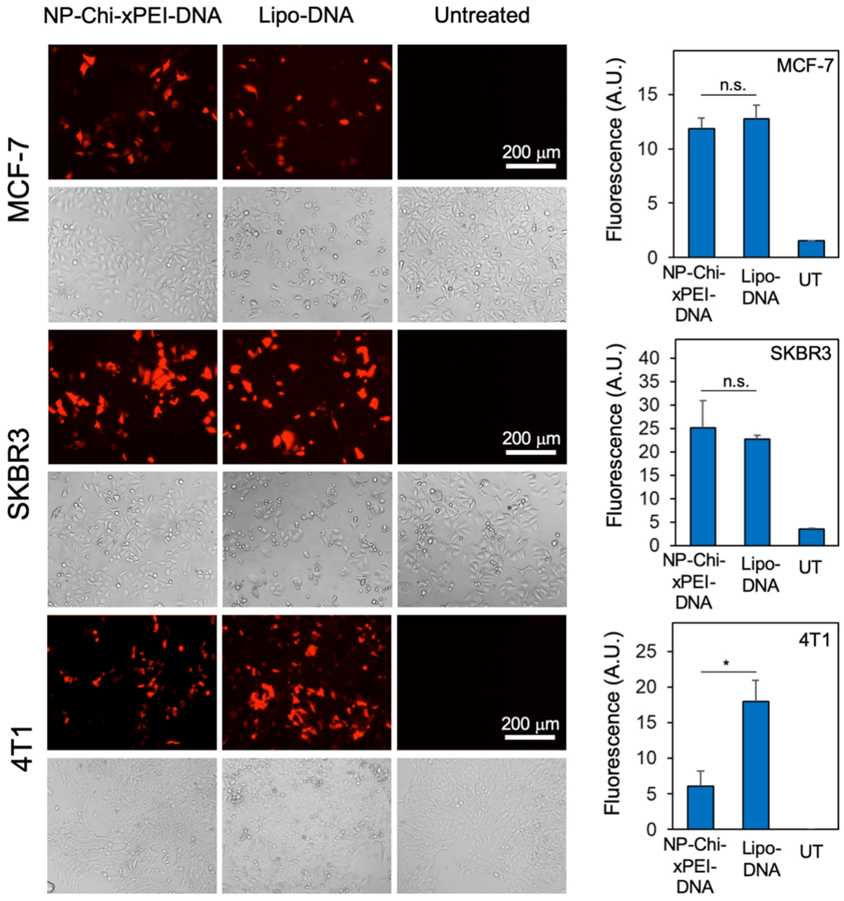 Nanomaterials 12 00584 g008