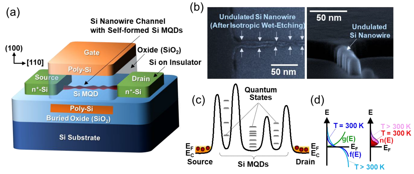 Nanomaterials 12 00603 g001