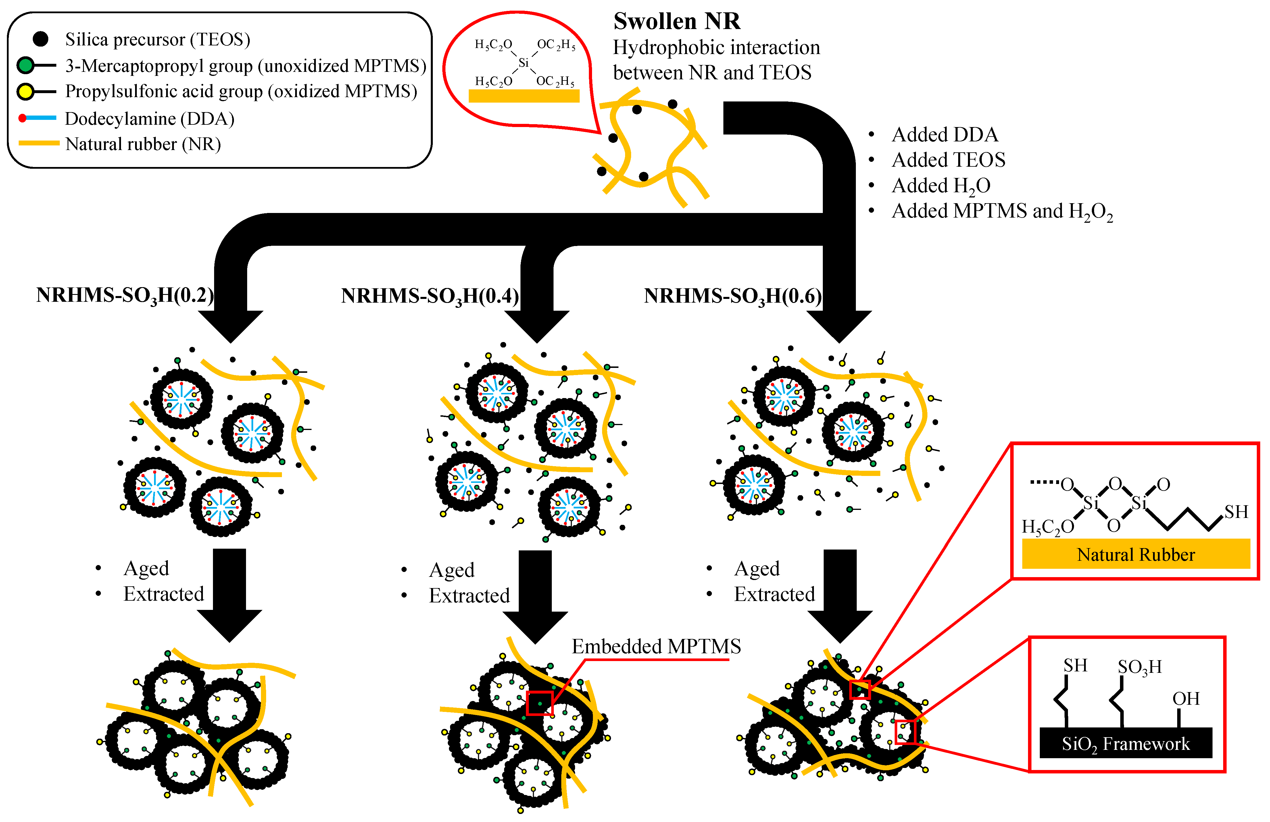 Nanomaterials 12 00604 sch001