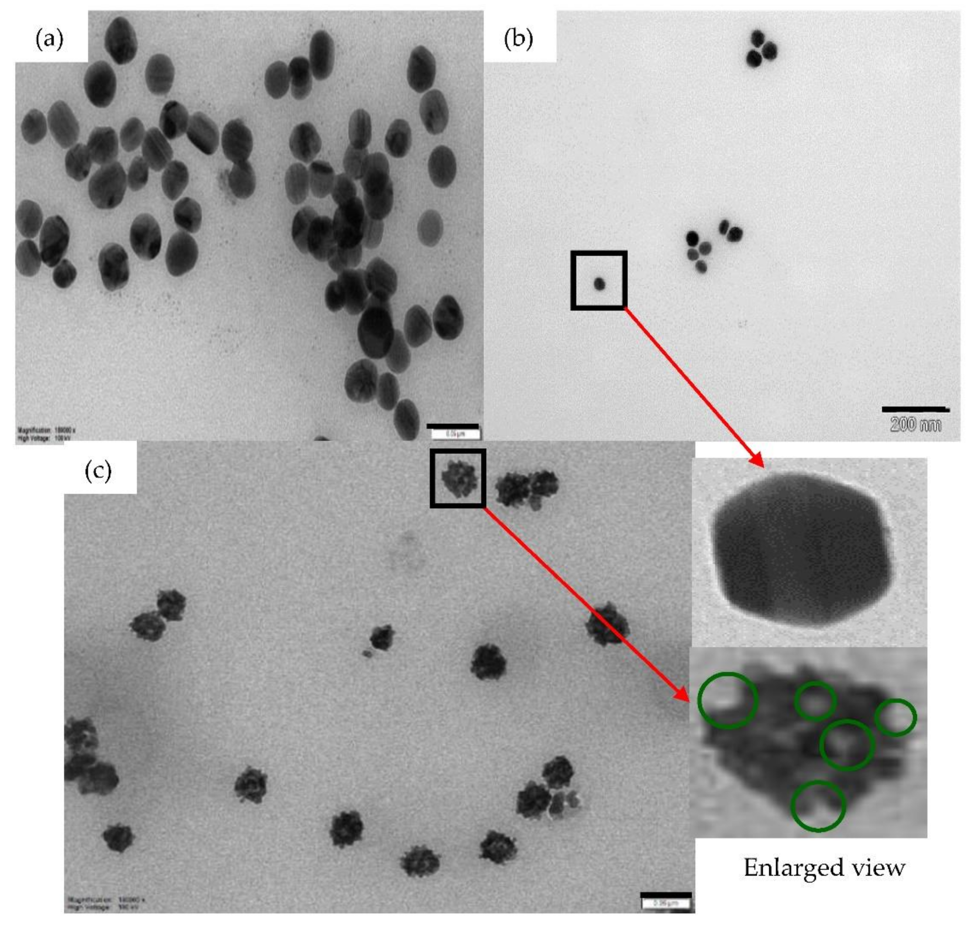 Nanomaterials 12 00607 g002