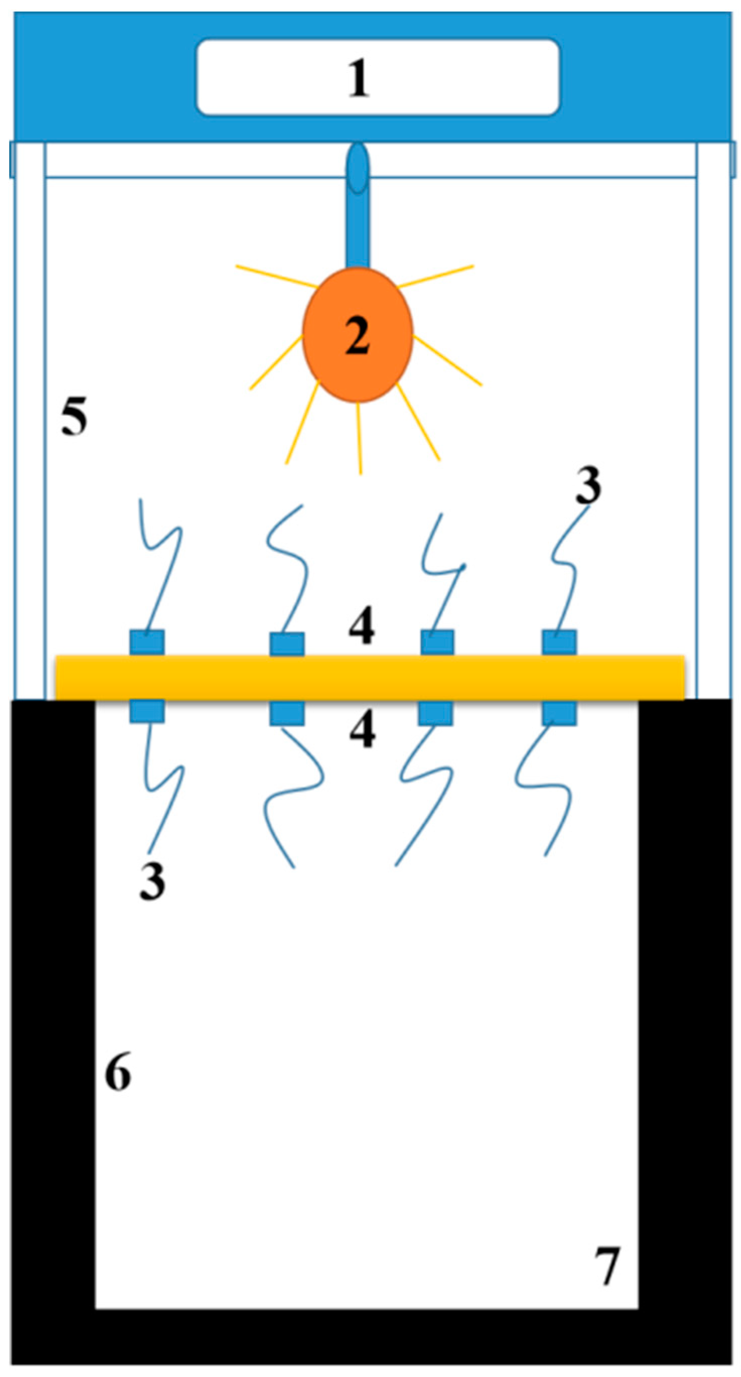 Nanomaterials 12 00609 g001