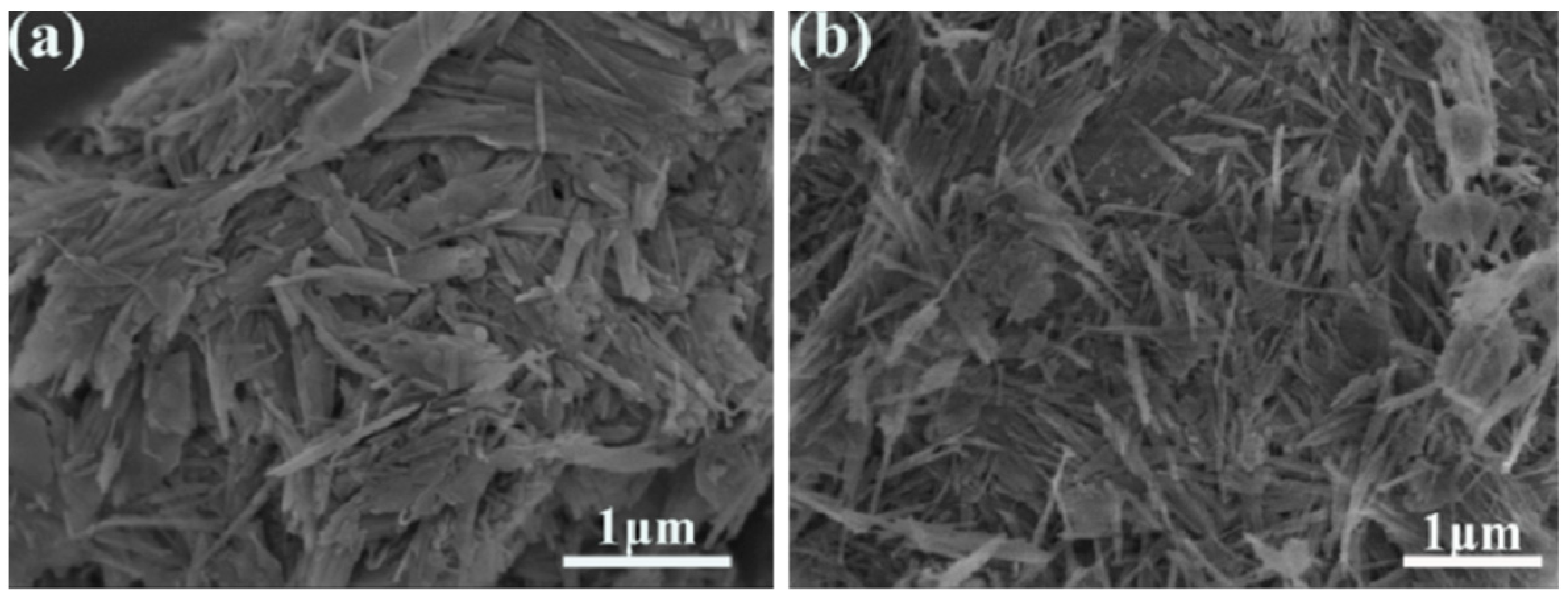 Nanomaterials 12 00609 g004