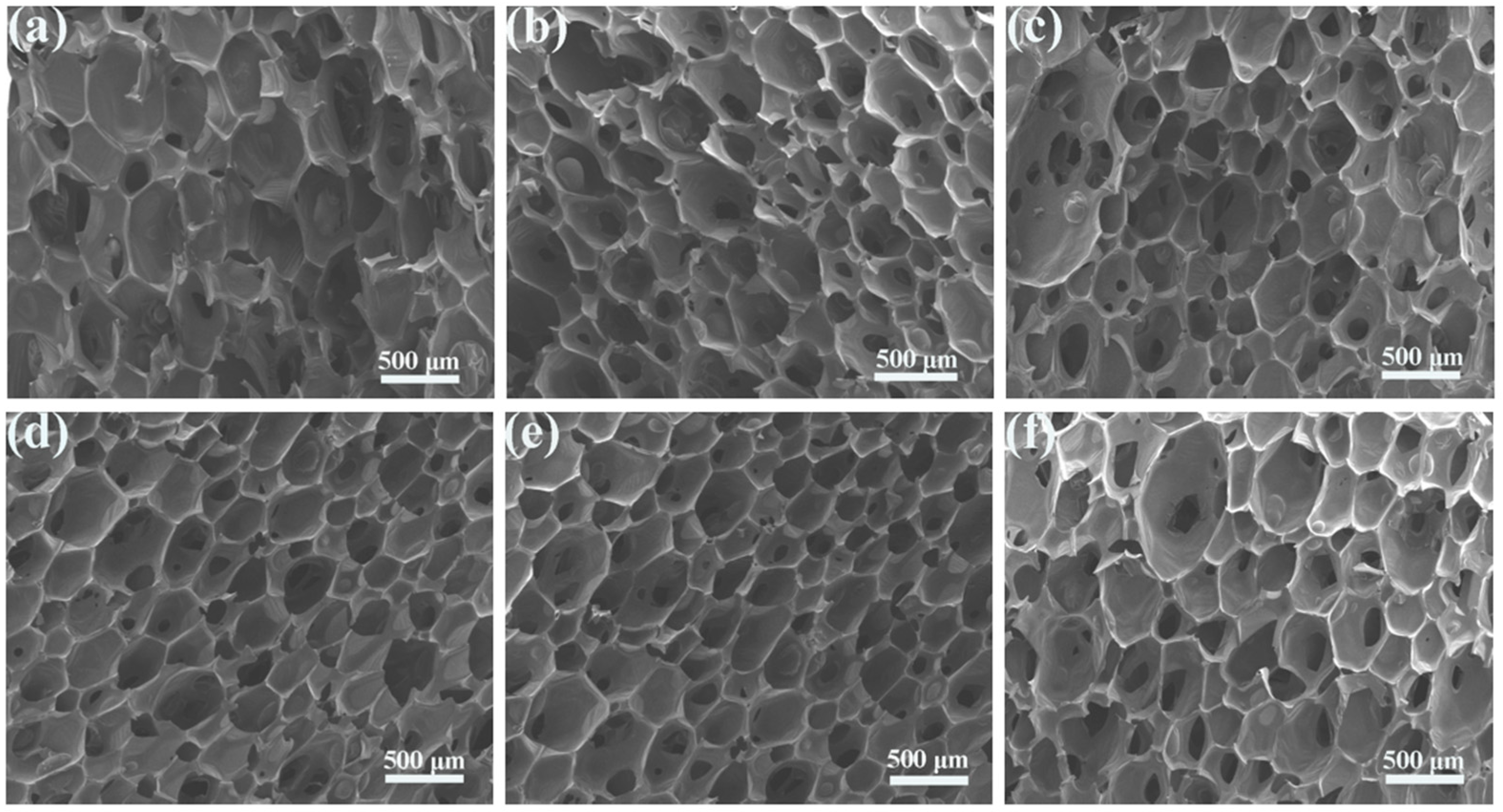 Nanomaterials 12 00609 g005