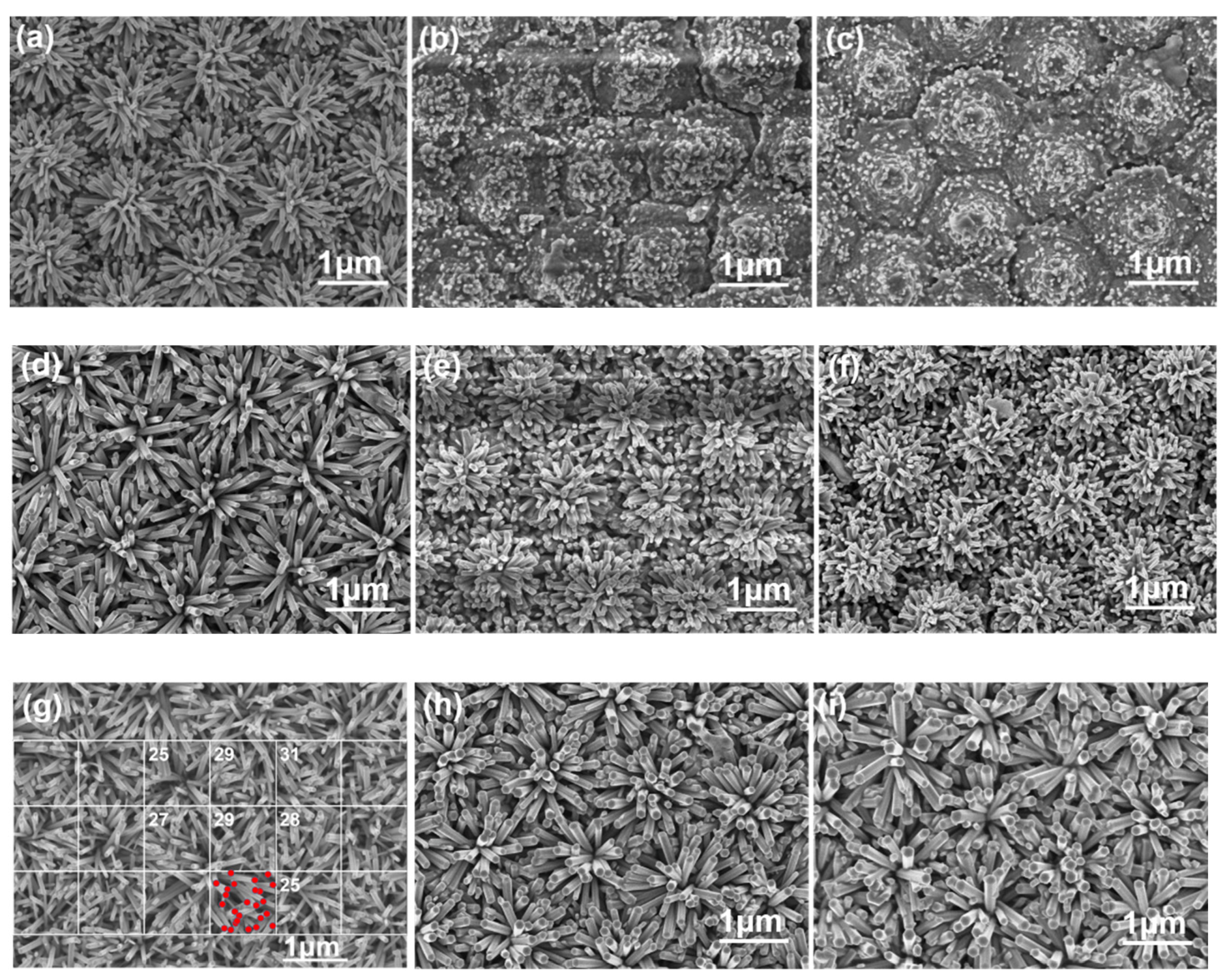 Nanomaterials 12 00612 g006