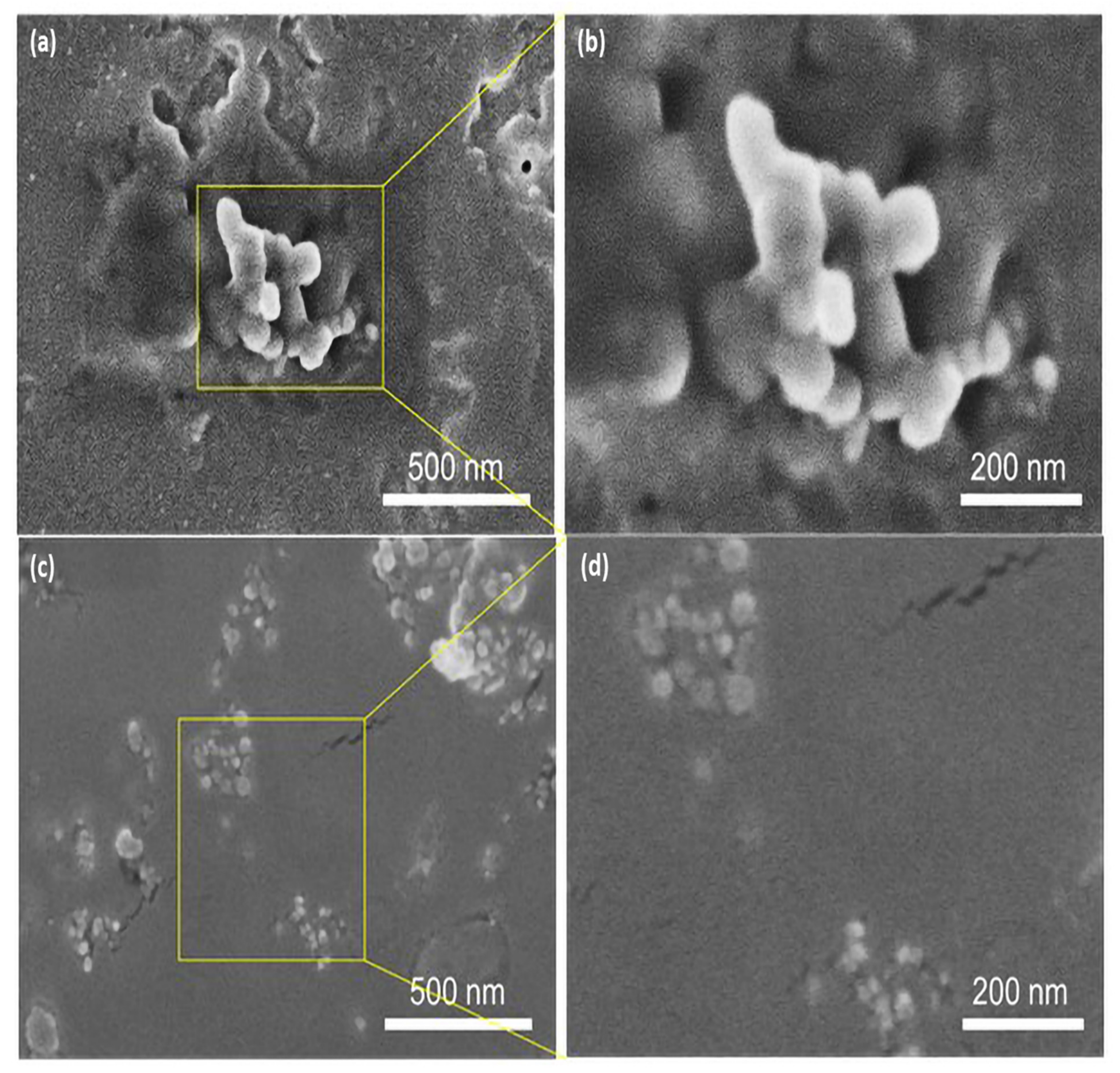 Nanomaterials 12 00616 g006