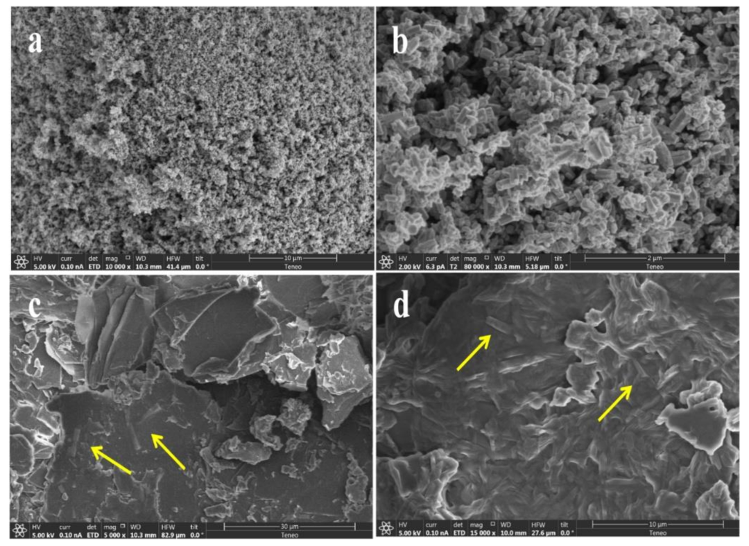 Nanomaterials 12 00664 g002 Nanomaterials 12 00664 g002