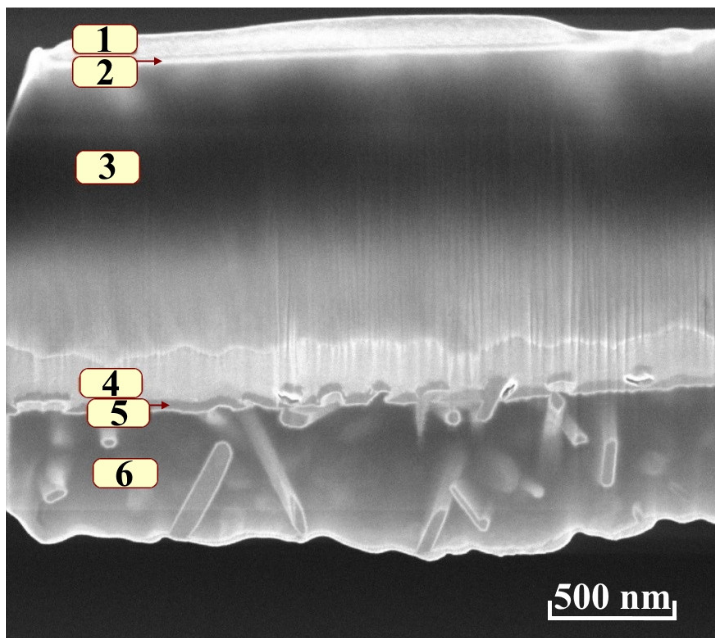Nanomaterials 12 00670 g011