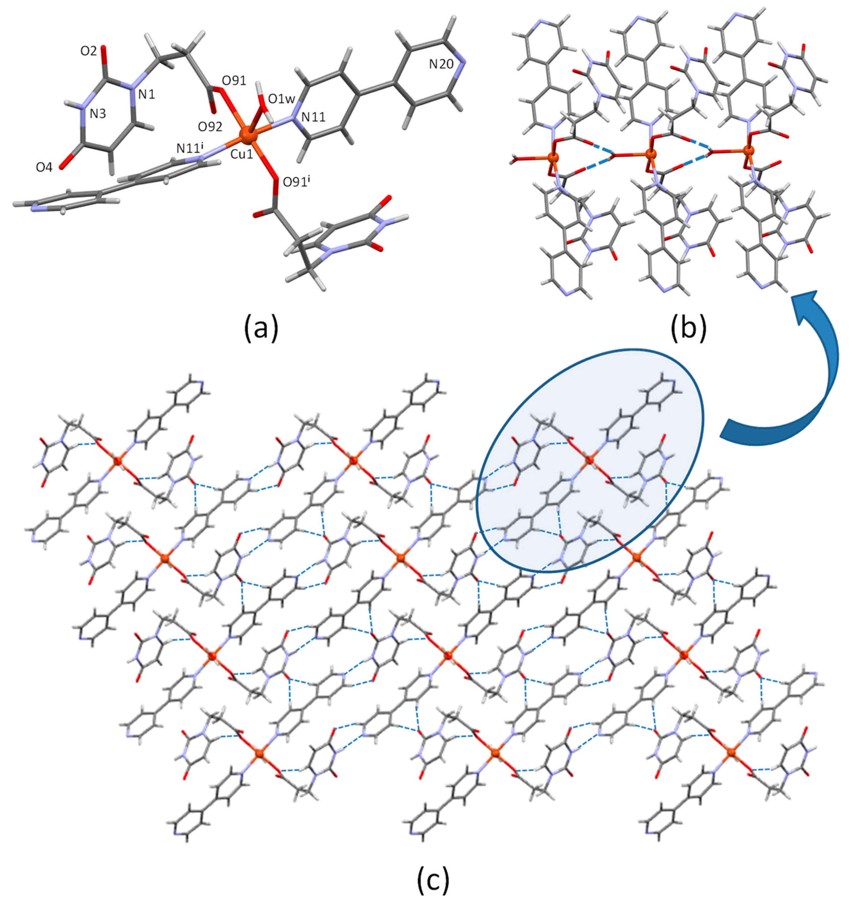 Nanomaterials 12 00675 g001