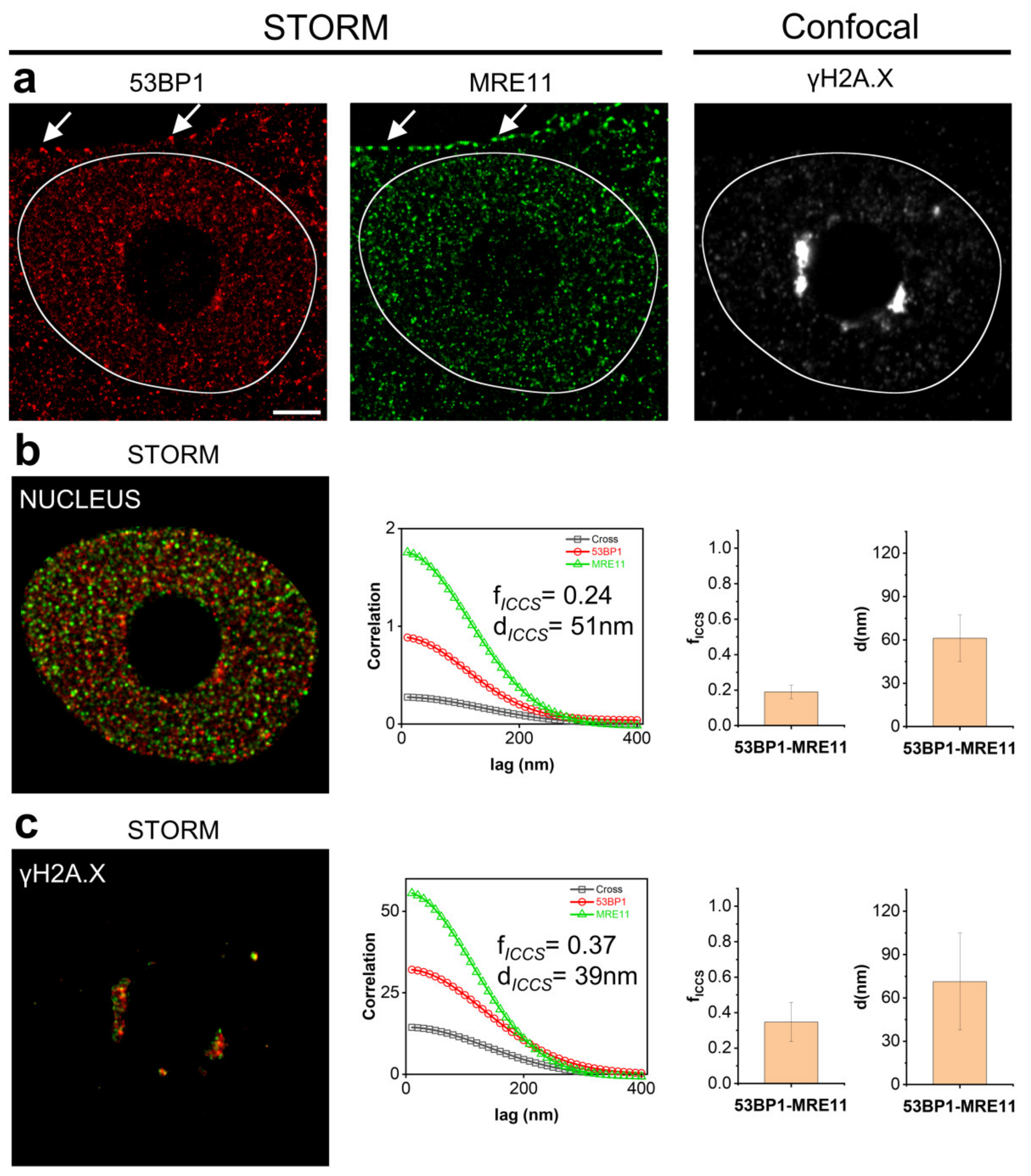 Nanomaterials 12 00686 g003