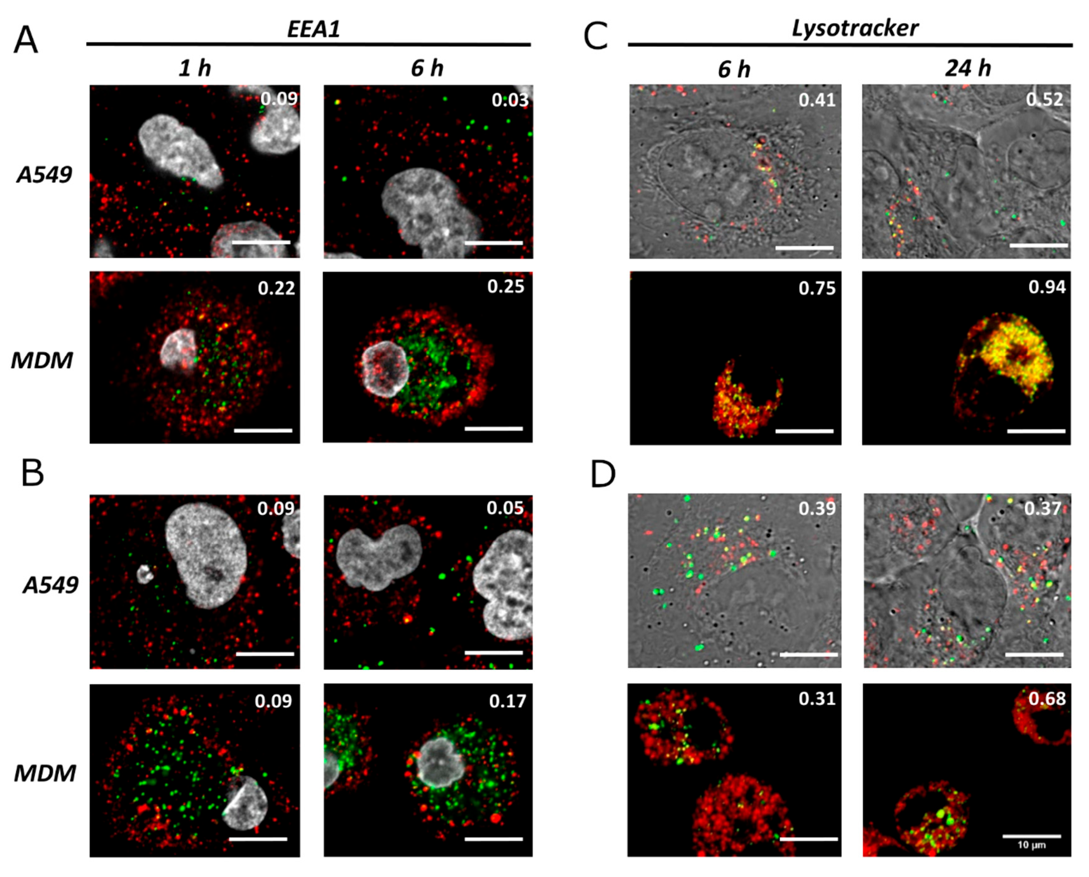 Nanomaterials 12 00690 g002